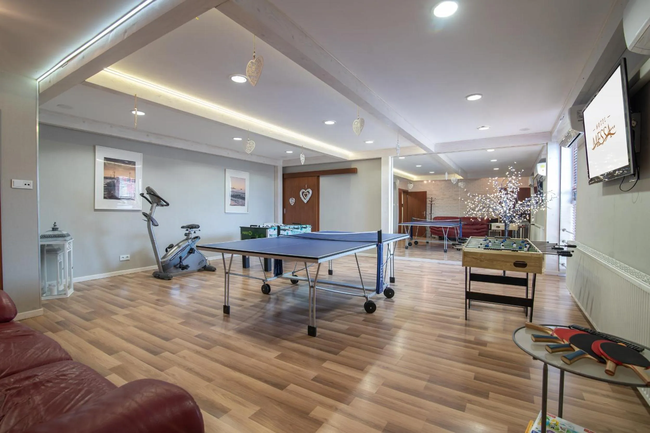 Game Room in Hotel Messa