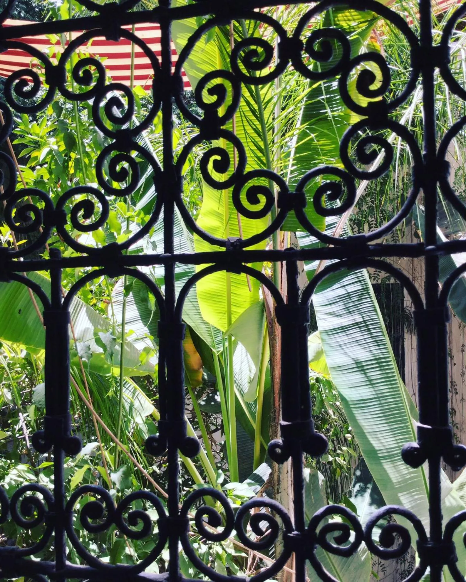 Garden in Riad Tibibt