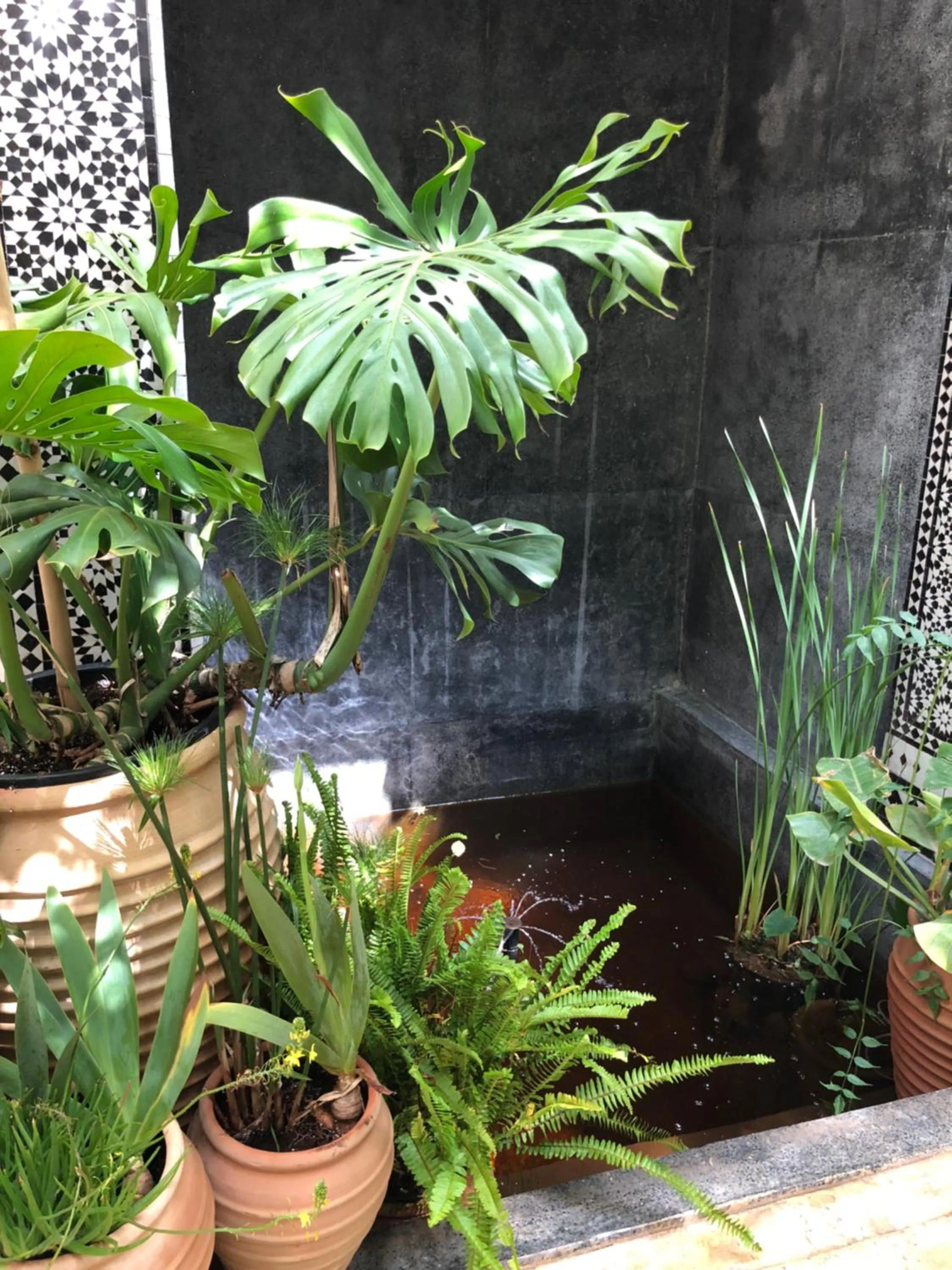 Patio in Riad Tibibt