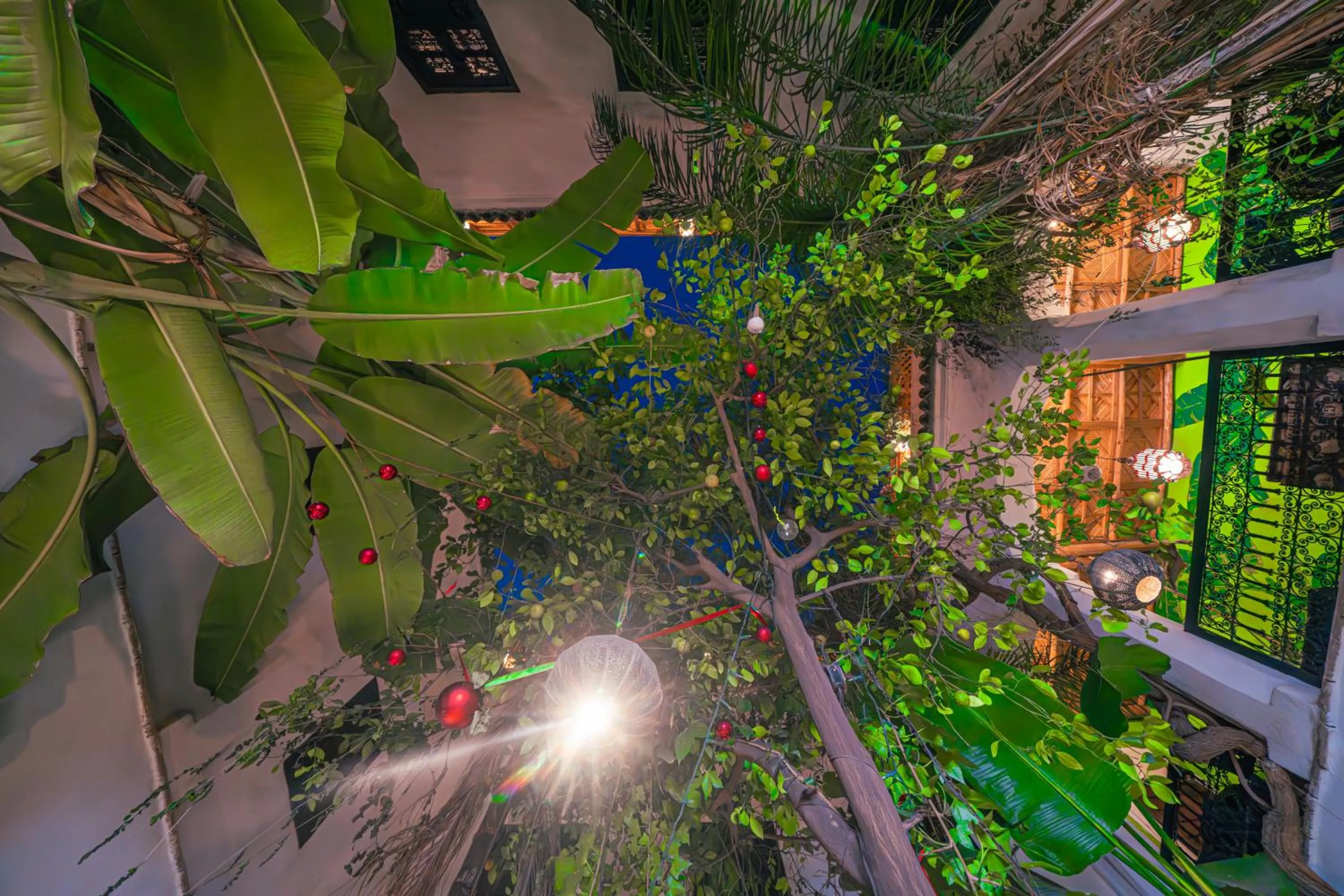 Patio in Riad Tibibt