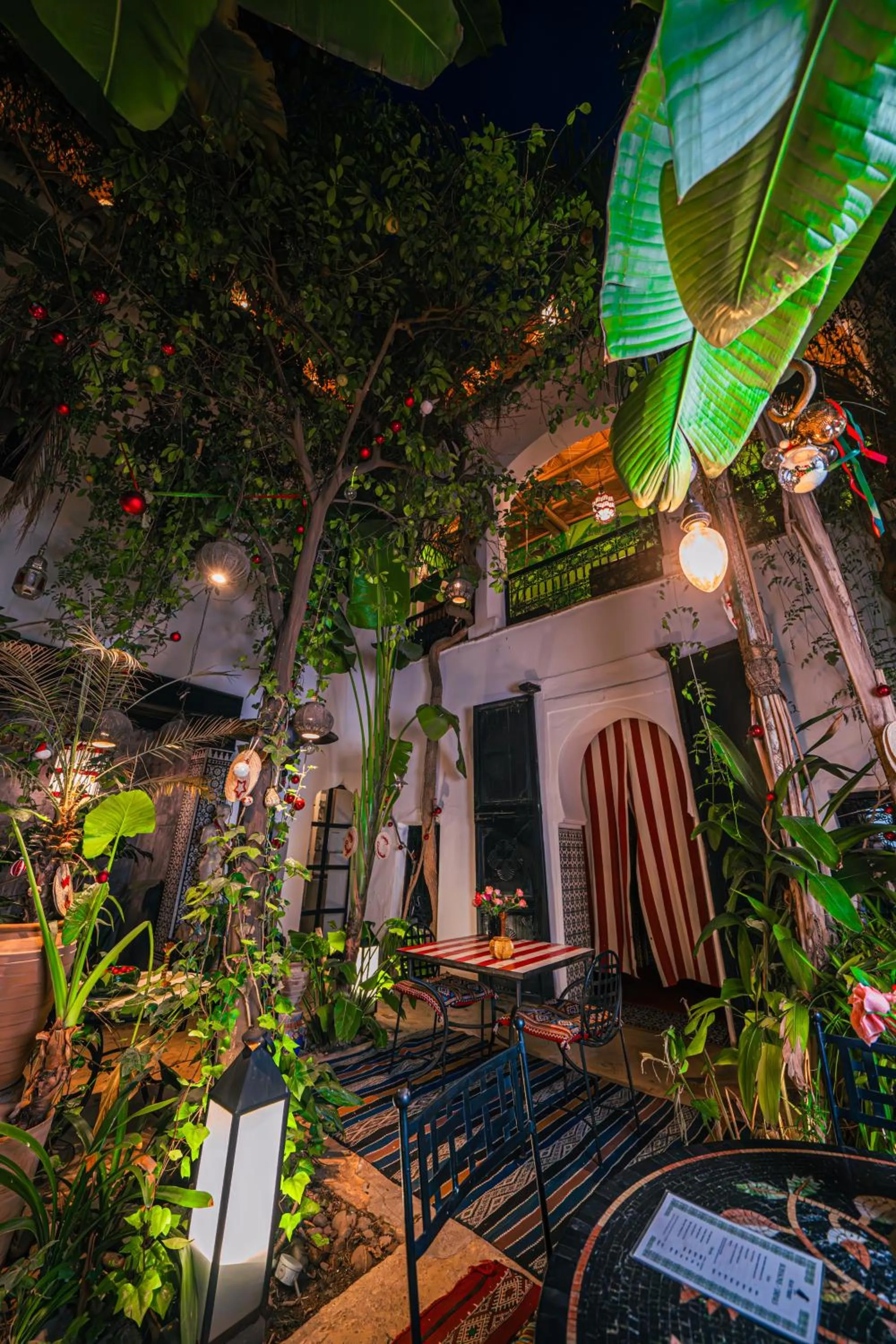 Garden in Riad Tibibt