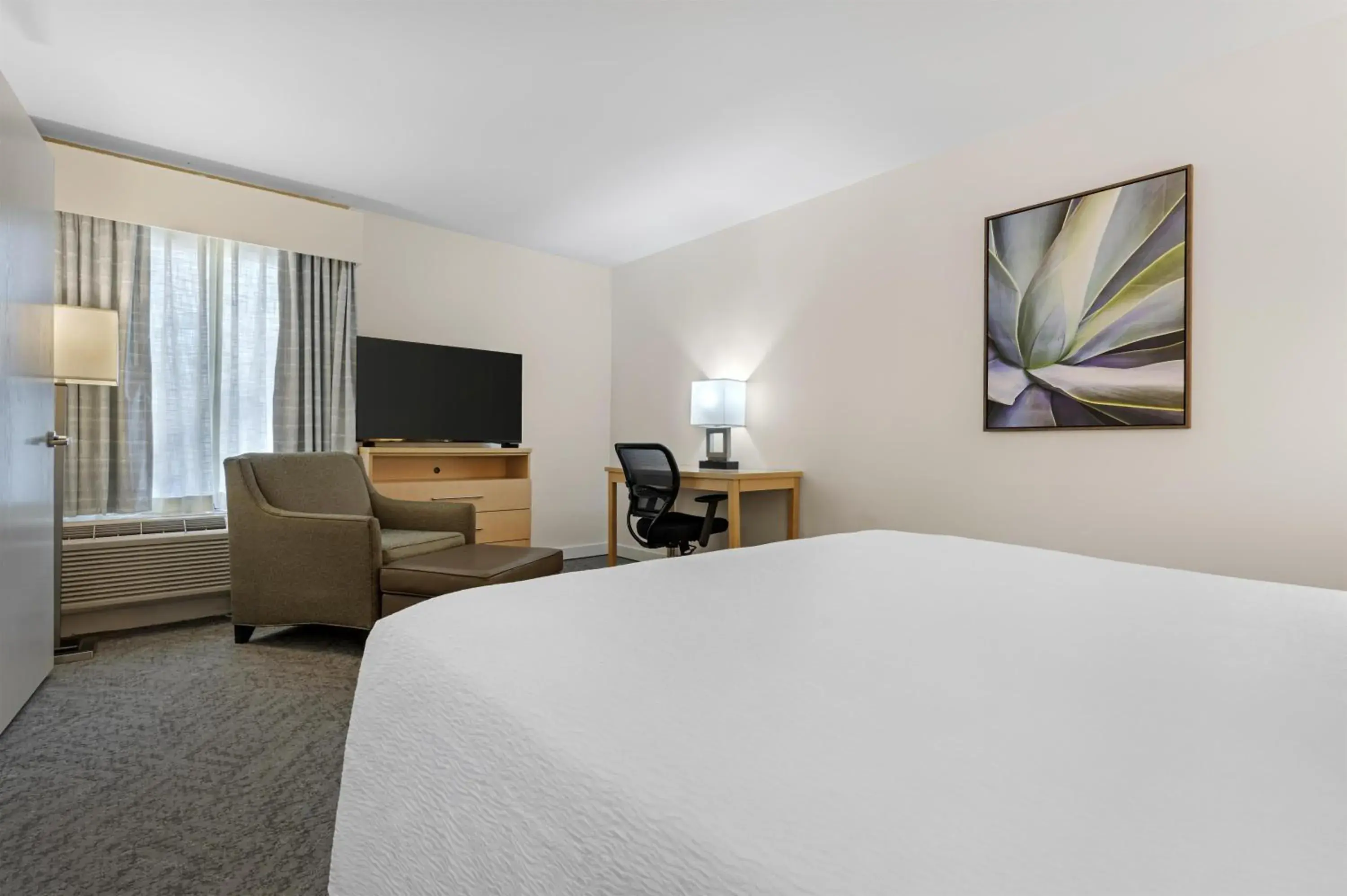 Bedroom, Bed in Best Western Plus South Coast Inn Bedroom, Bed in Best Western Plus South Coast Inn