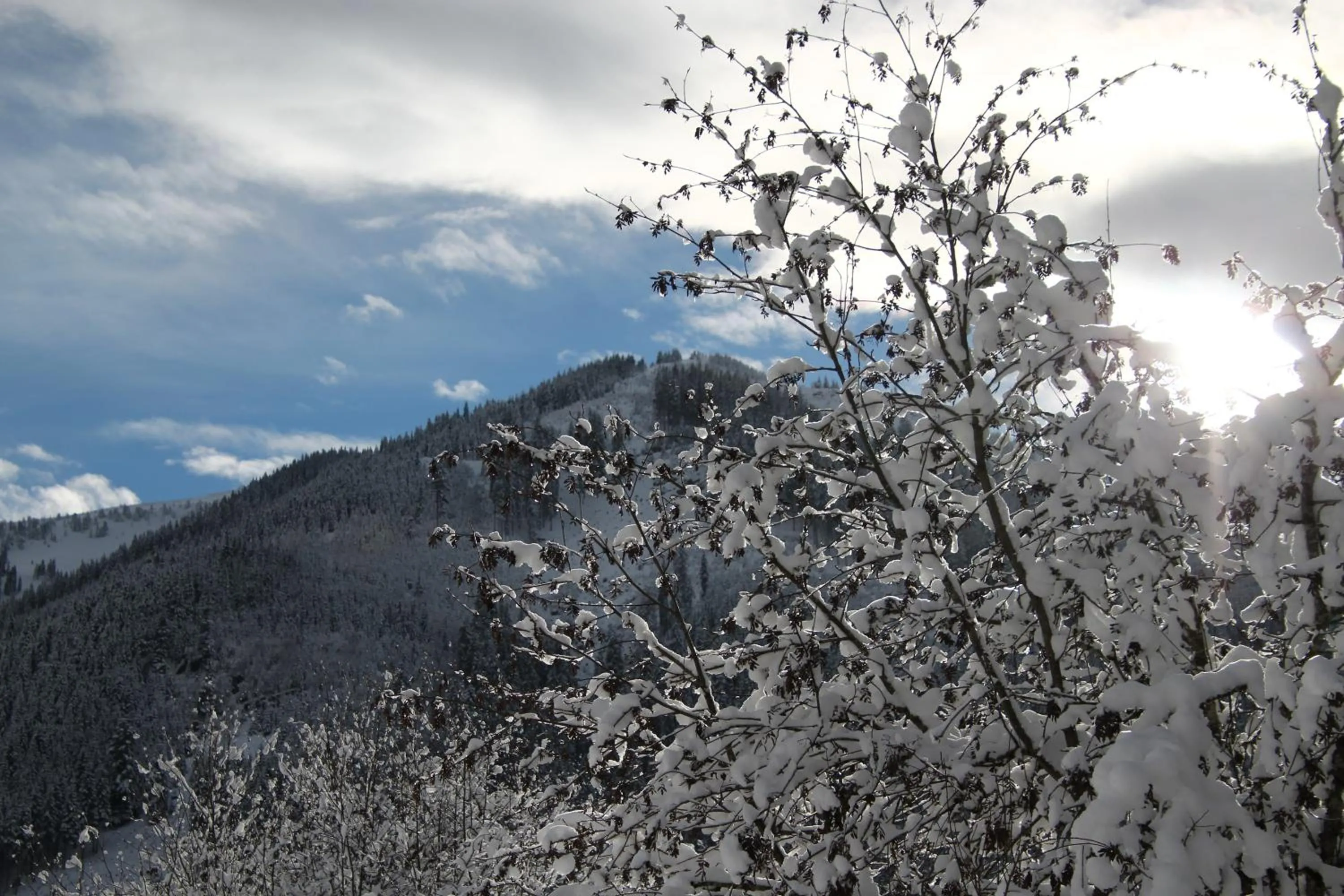 Winter in Appartements Moser