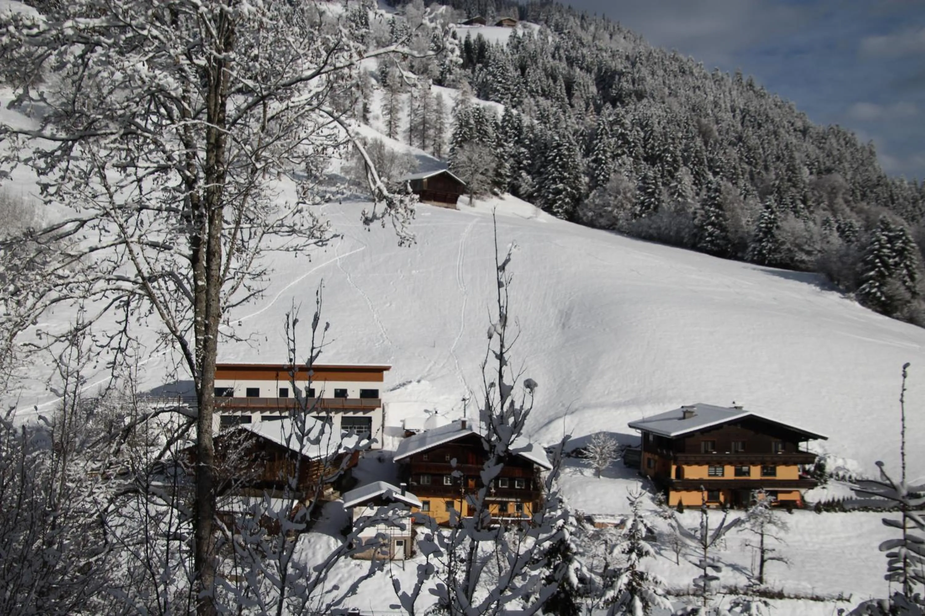 Winter in Appartements Moser