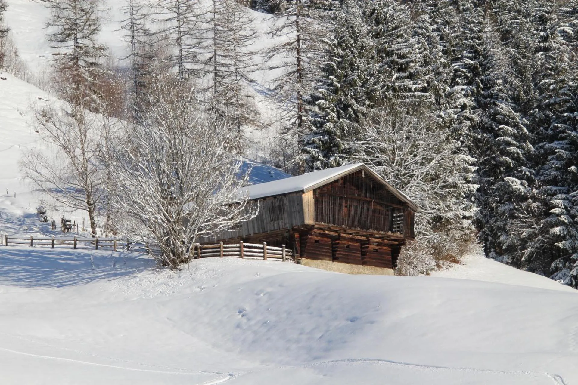 Winter in Appartements Moser