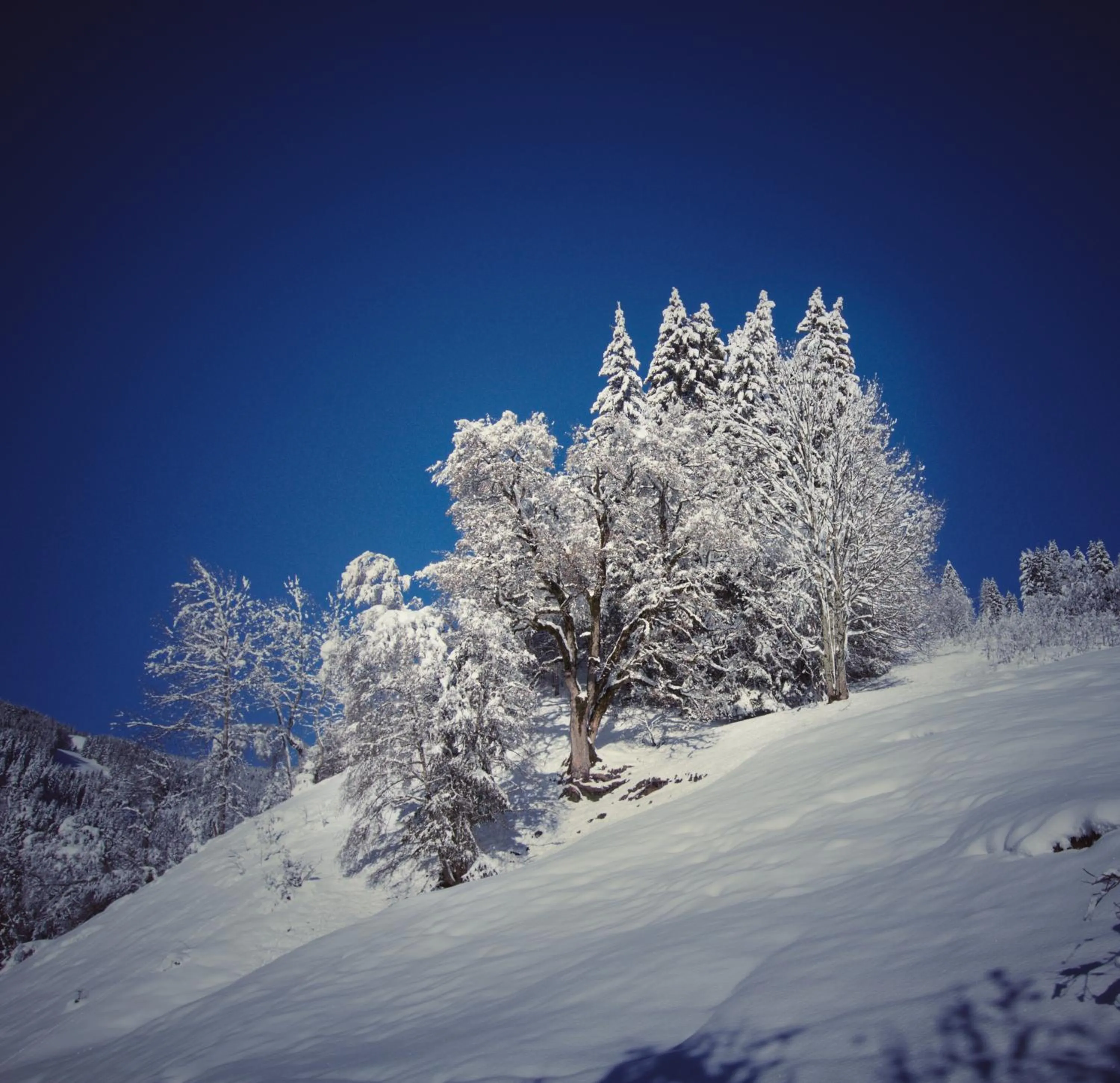 Natural landscape in Appartements Moser