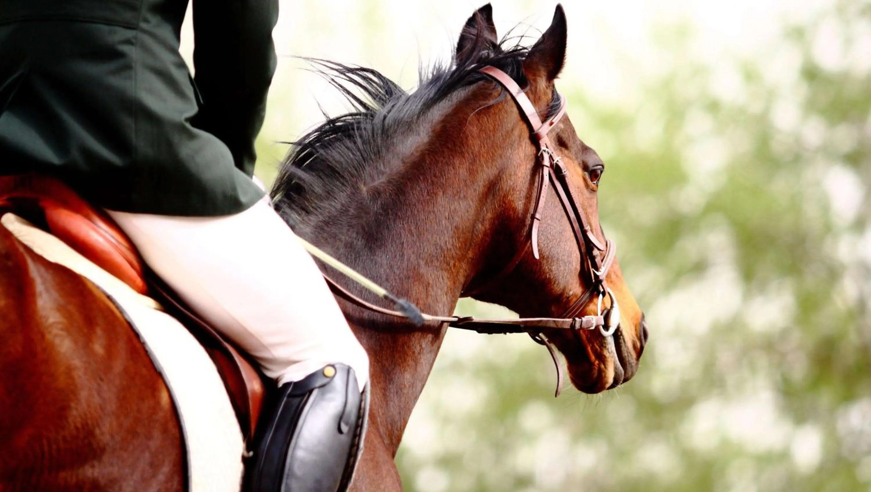 Nearby landmark in Magnuson Hotel Fowlerville