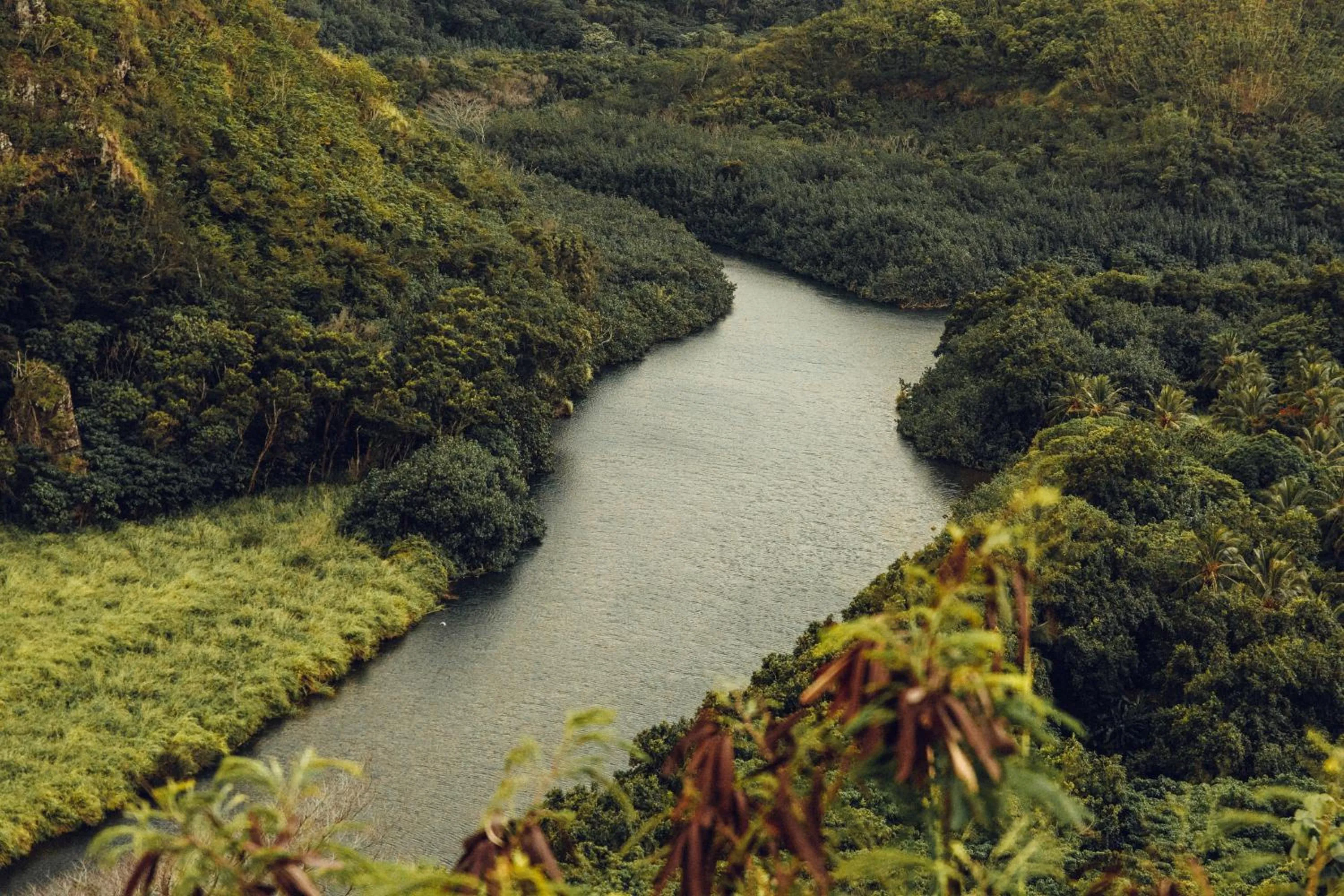 Natural landscape in Banyan Harbor Resort