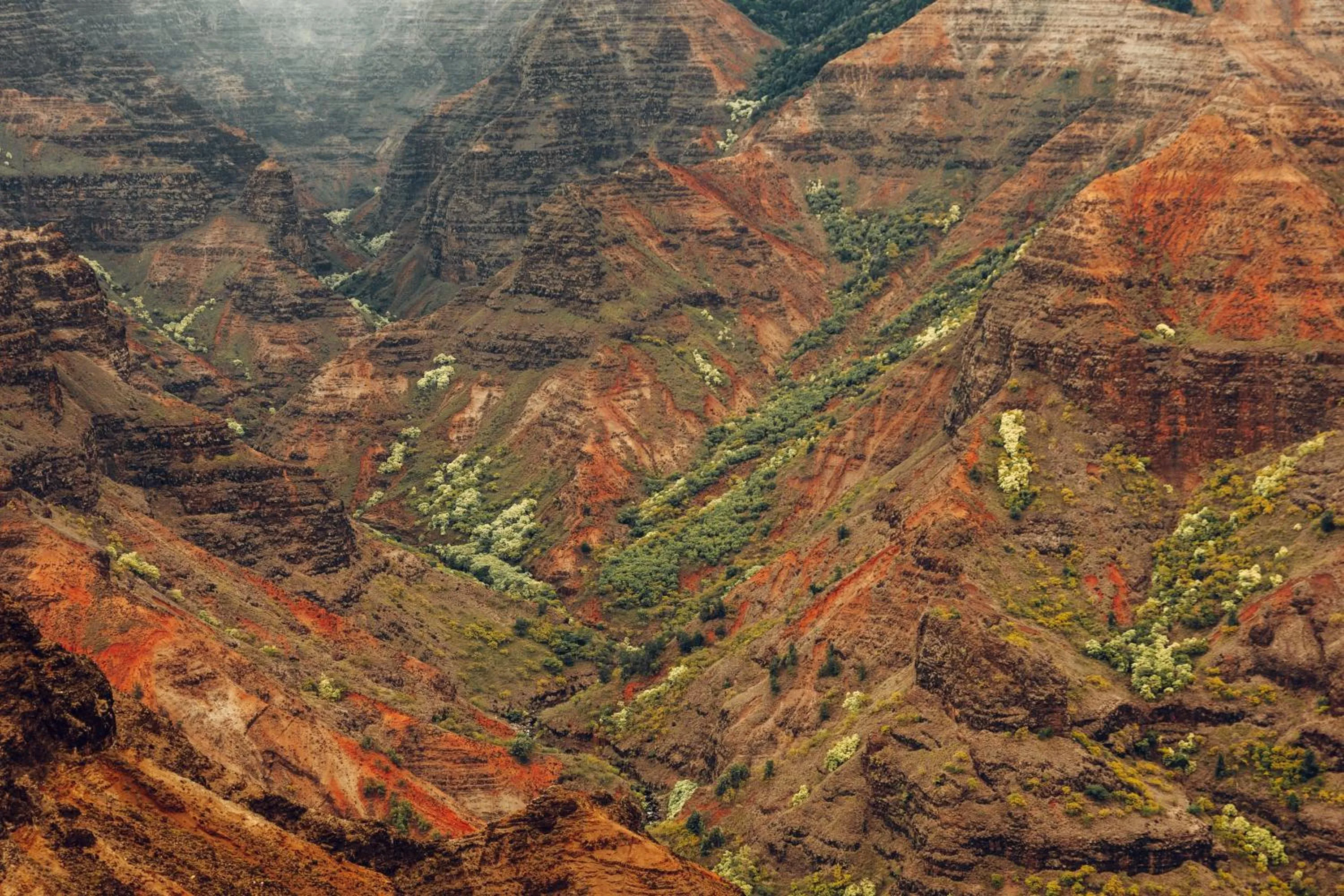 Other in Banyan Harbor Resort