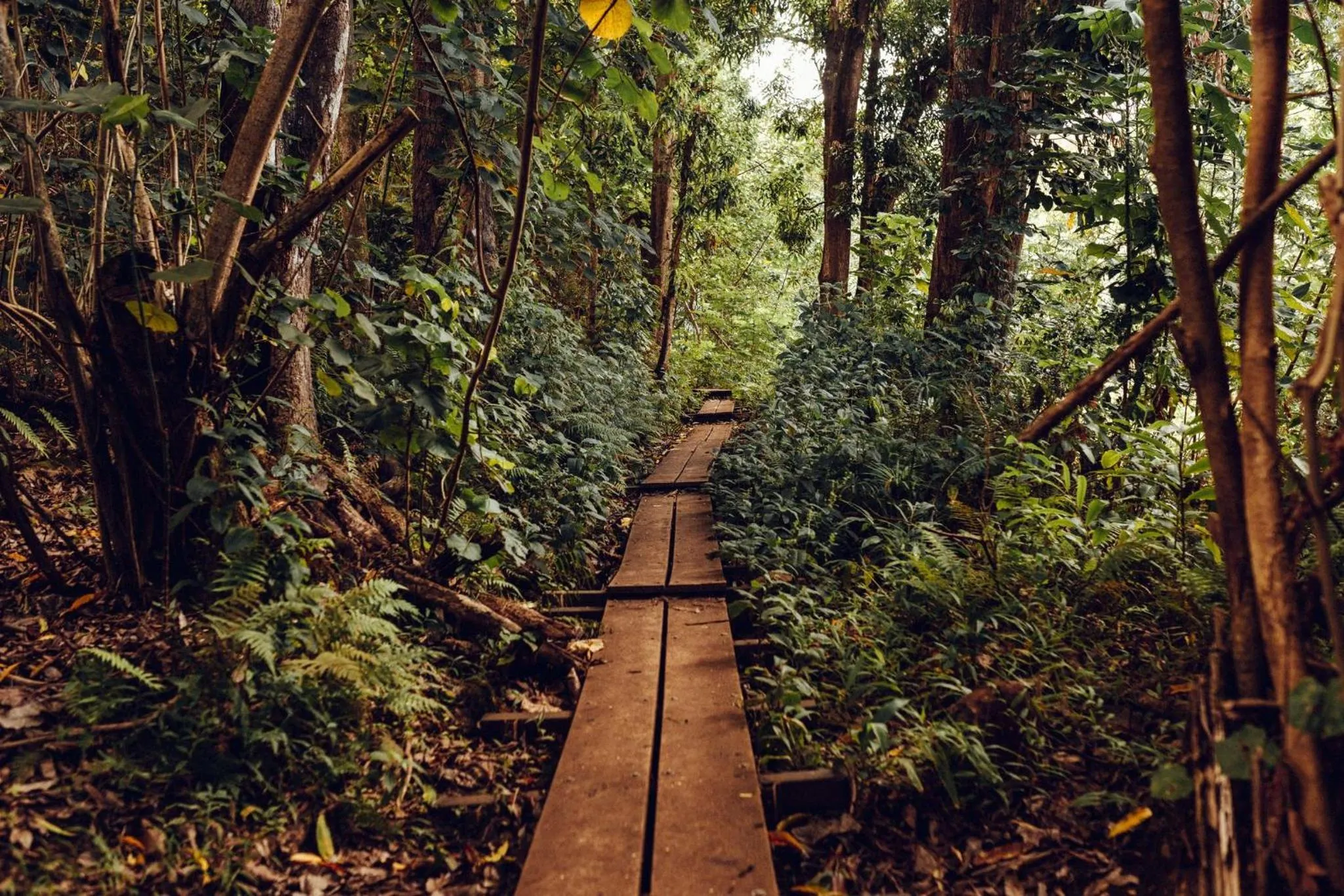 Other in Banyan Harbor Resort