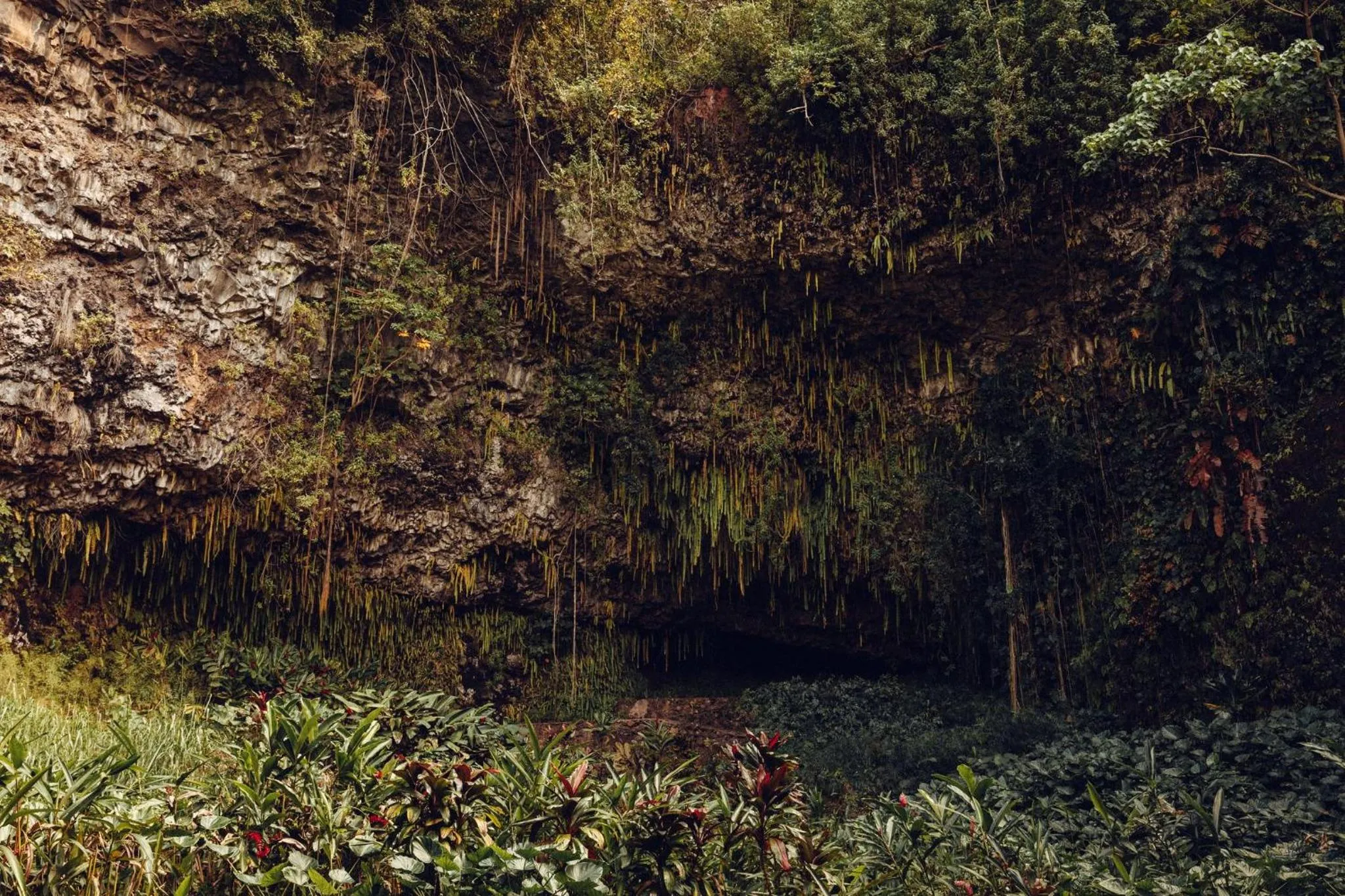 Other in Banyan Harbor Resort