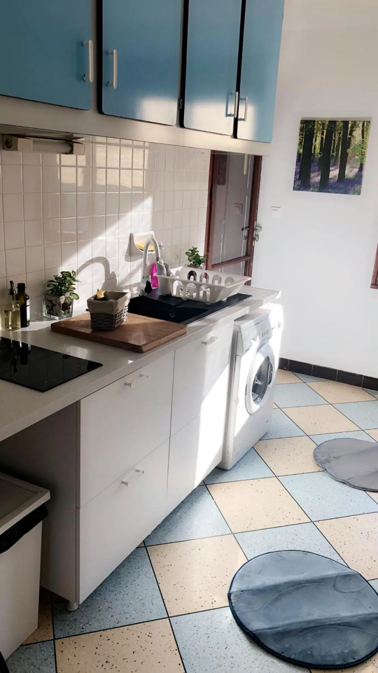 appartement L'OLIVIER