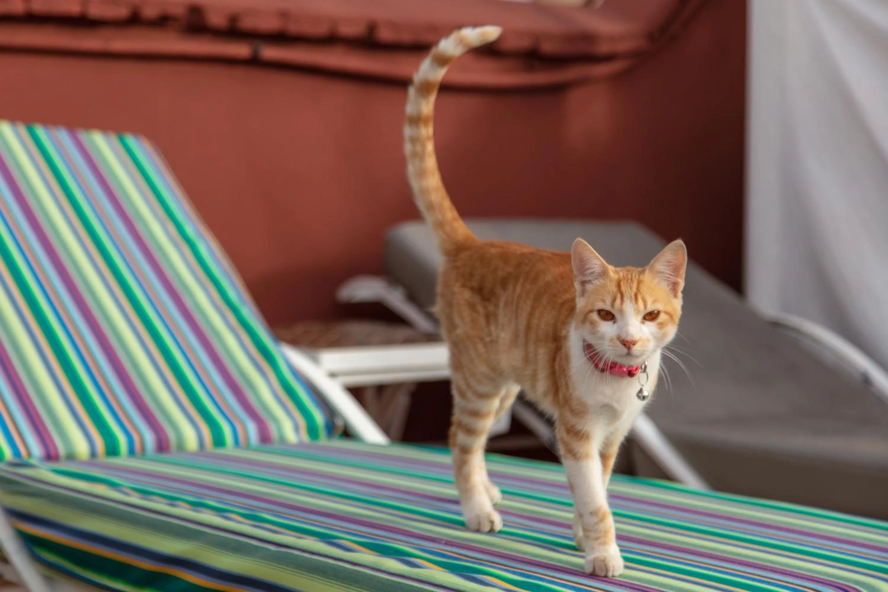 Winter in Riad Dar Saad - Hammam & Spa