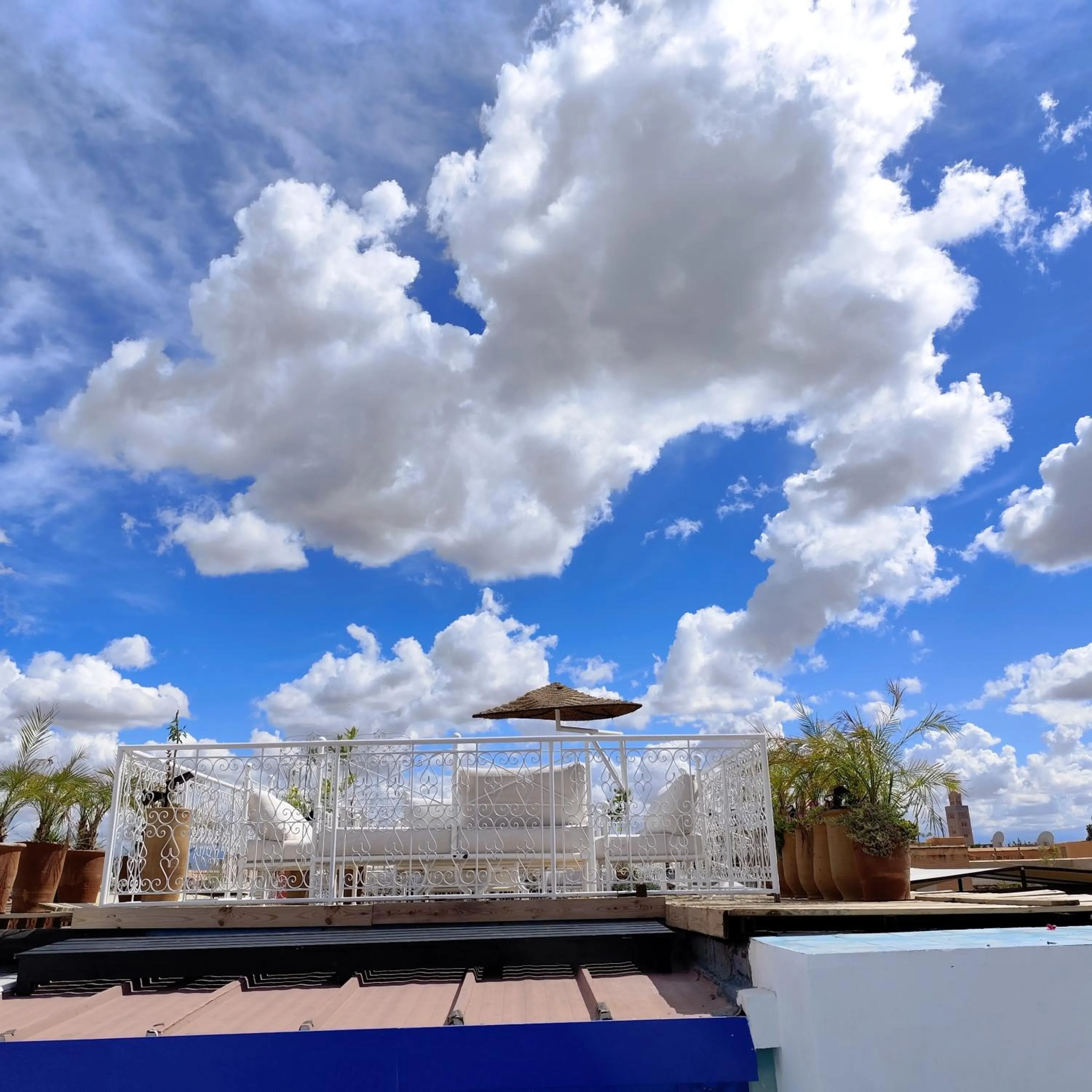 Solarium in Riad Dar Saad - Hammam & Spa