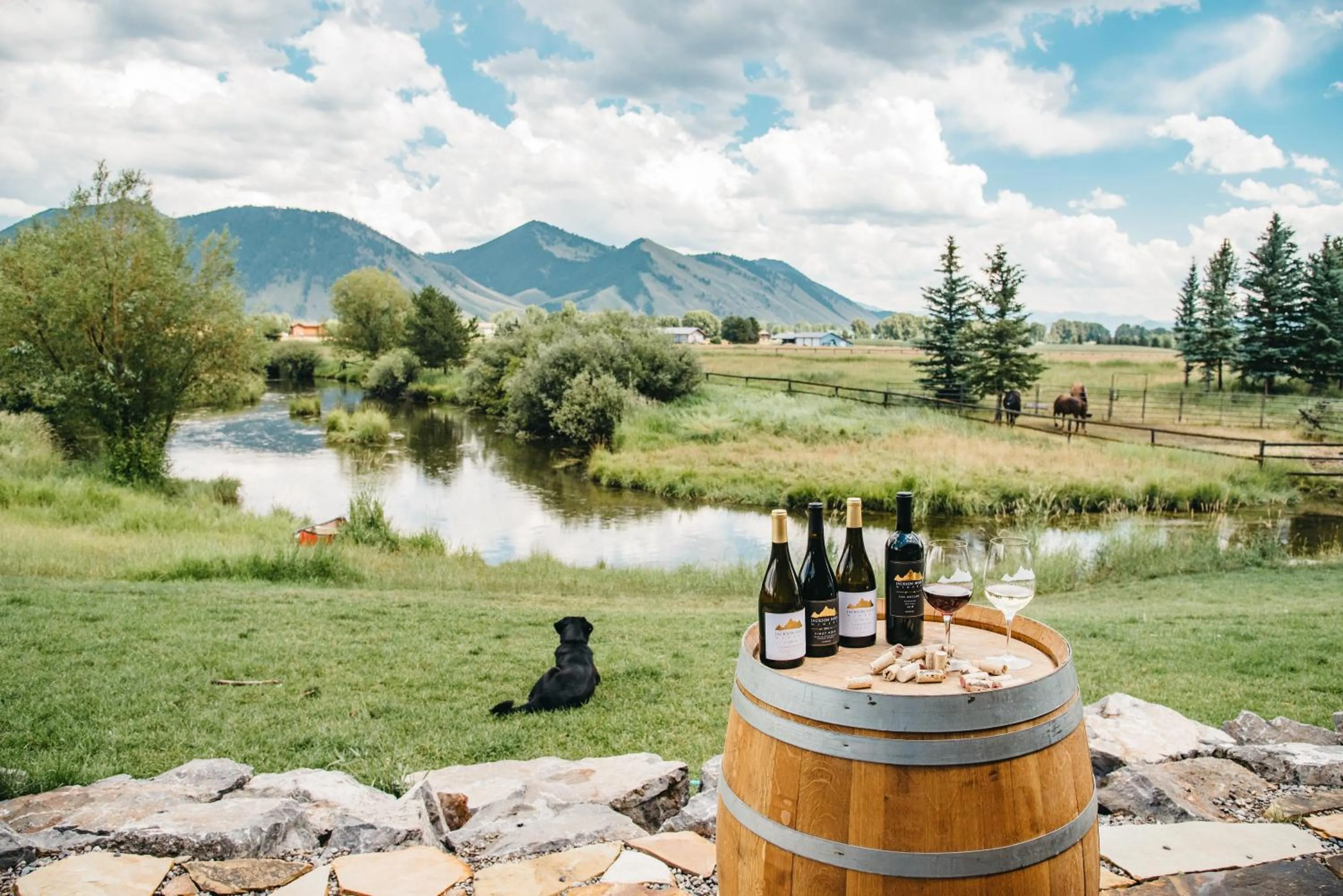 Activities in Jackson Hole Hideout