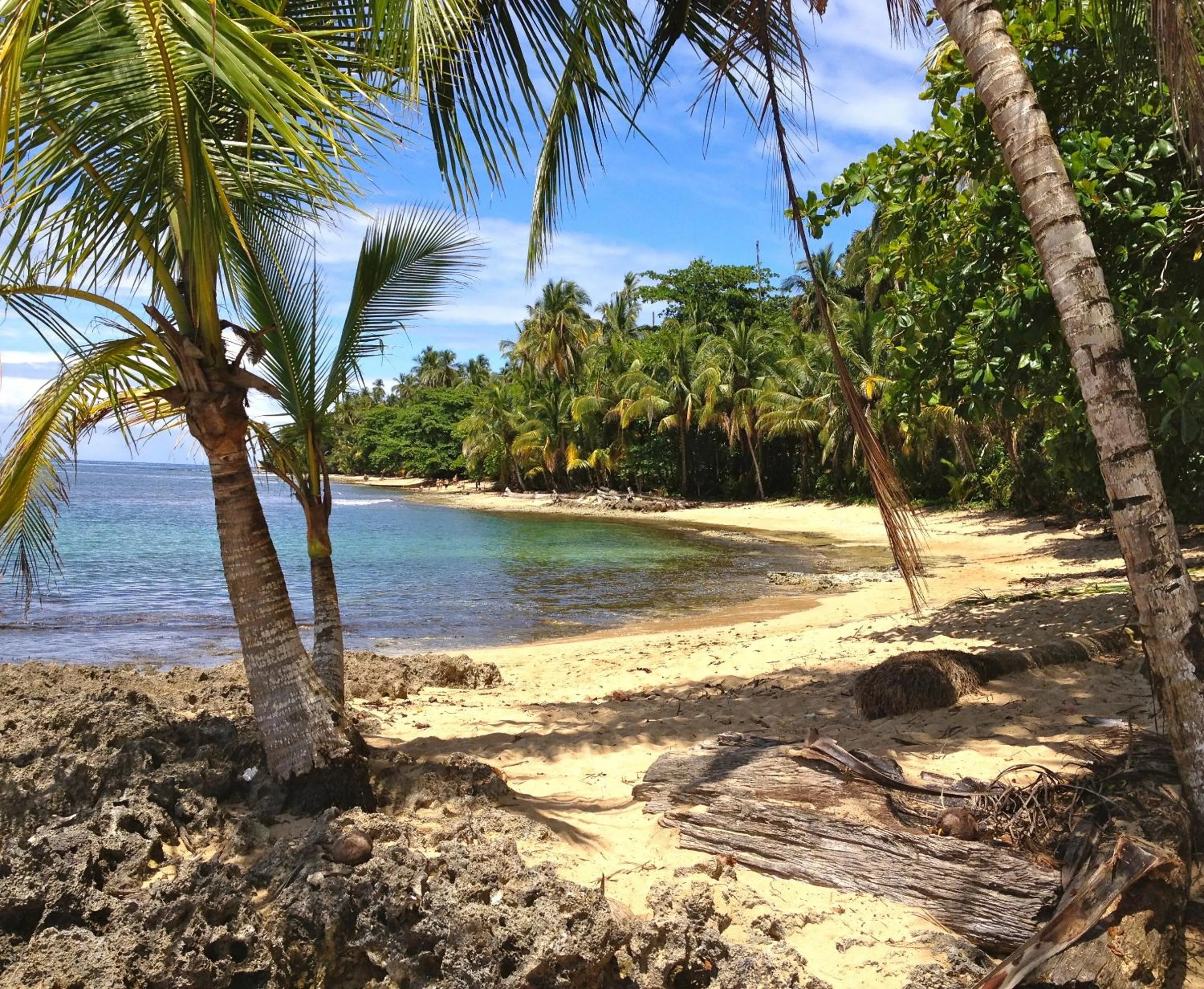 Snorkeling in Physis Caribbean Bed & Breakfast