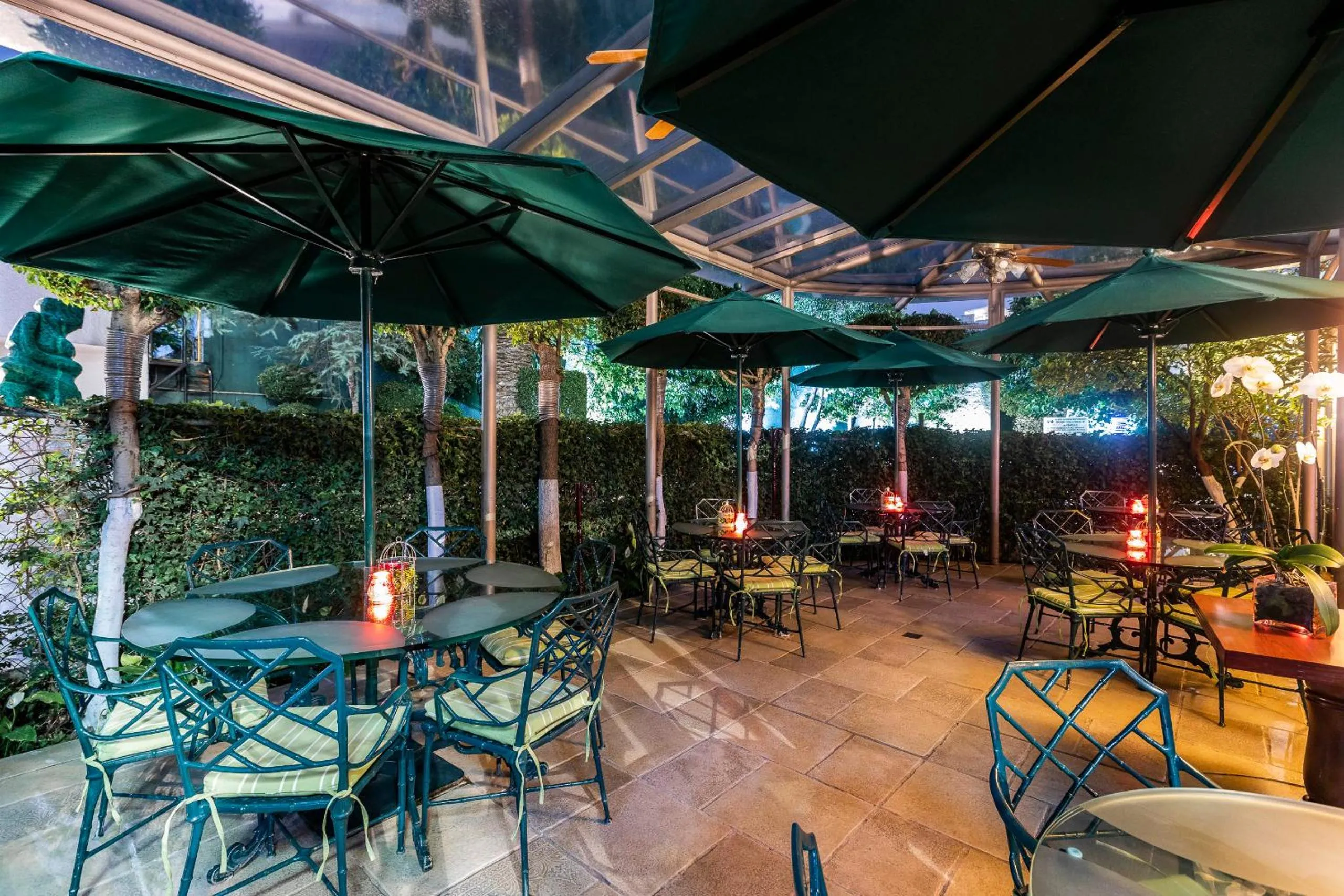 Balcony/Terrace in Hotel Beverly