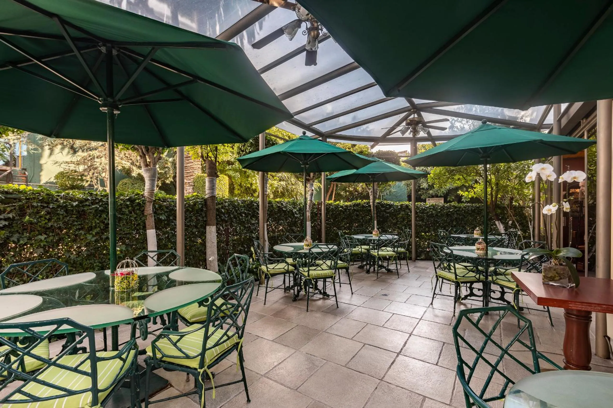 Balcony/Terrace in Hotel Beverly