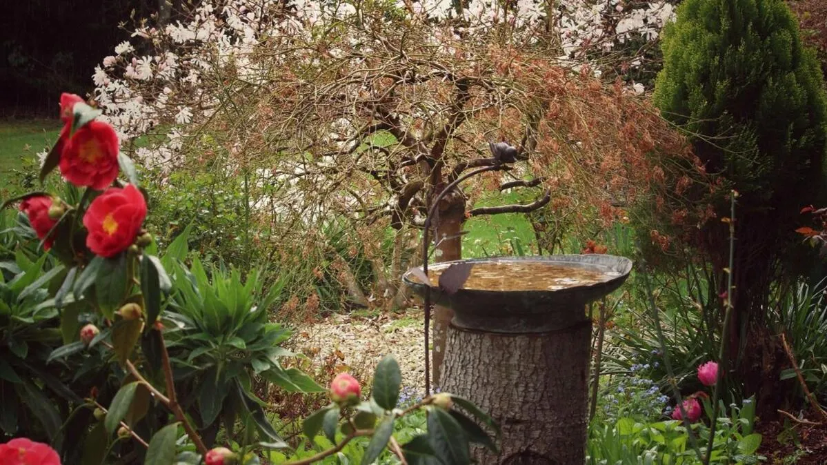 Green Gables B&B Waterfront Apartment or Garden Studio