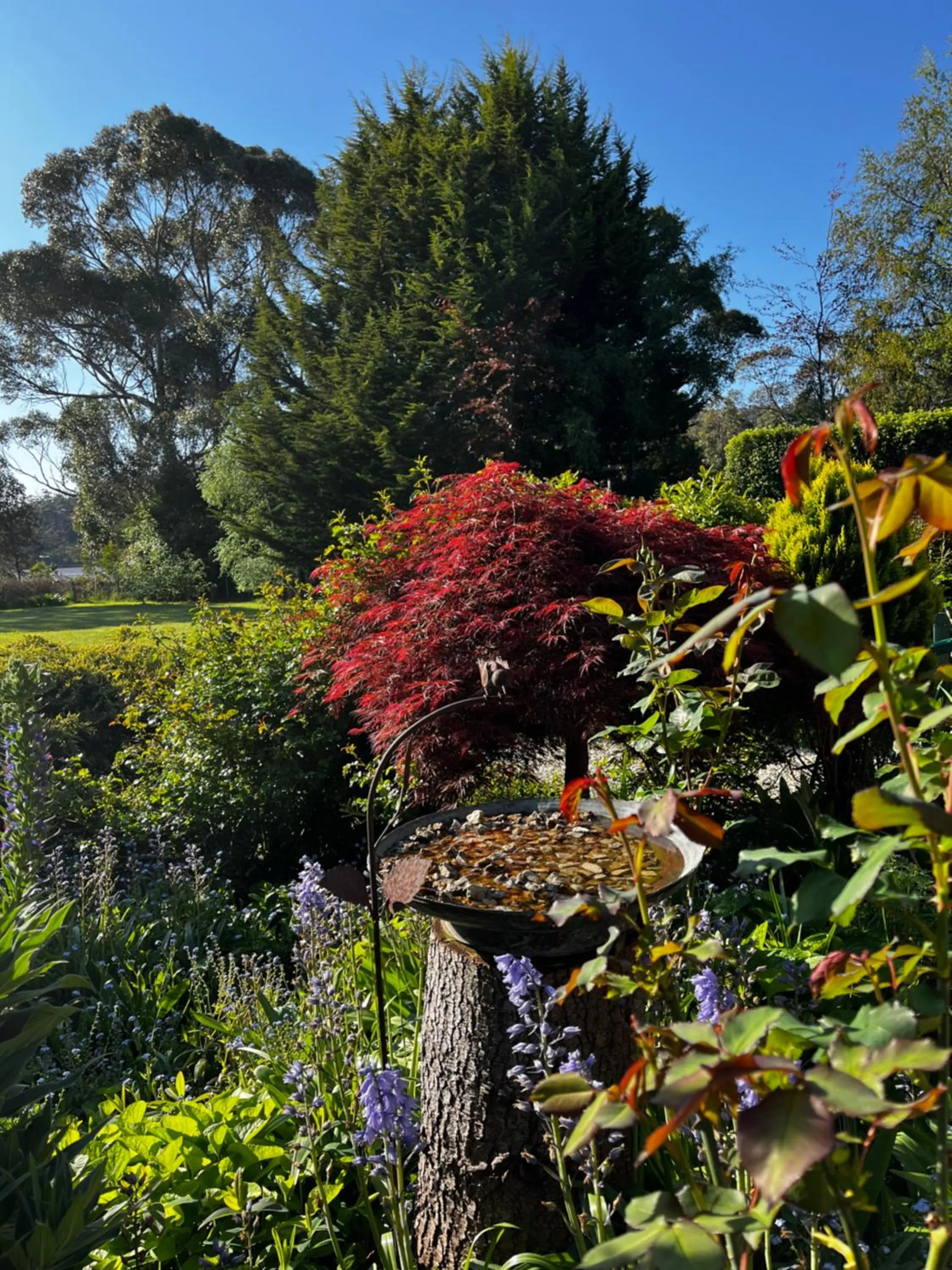 Garden in Green Gables B&B Waterfront Apartment or Garden Studio