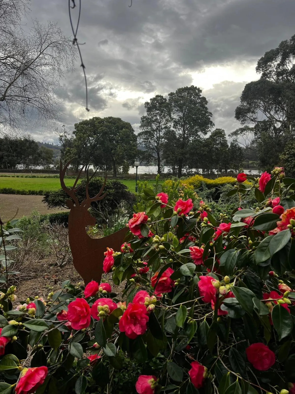Garden in Green Gables B&B Waterfront Apartment or Garden Studio