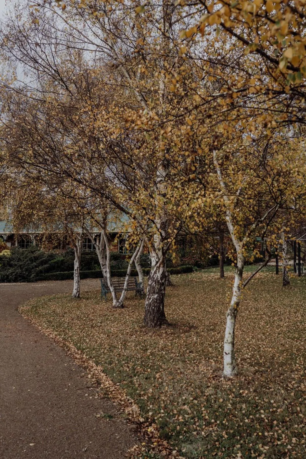 Garden in Green Gables B&B Waterfront Apartment or Garden Studio