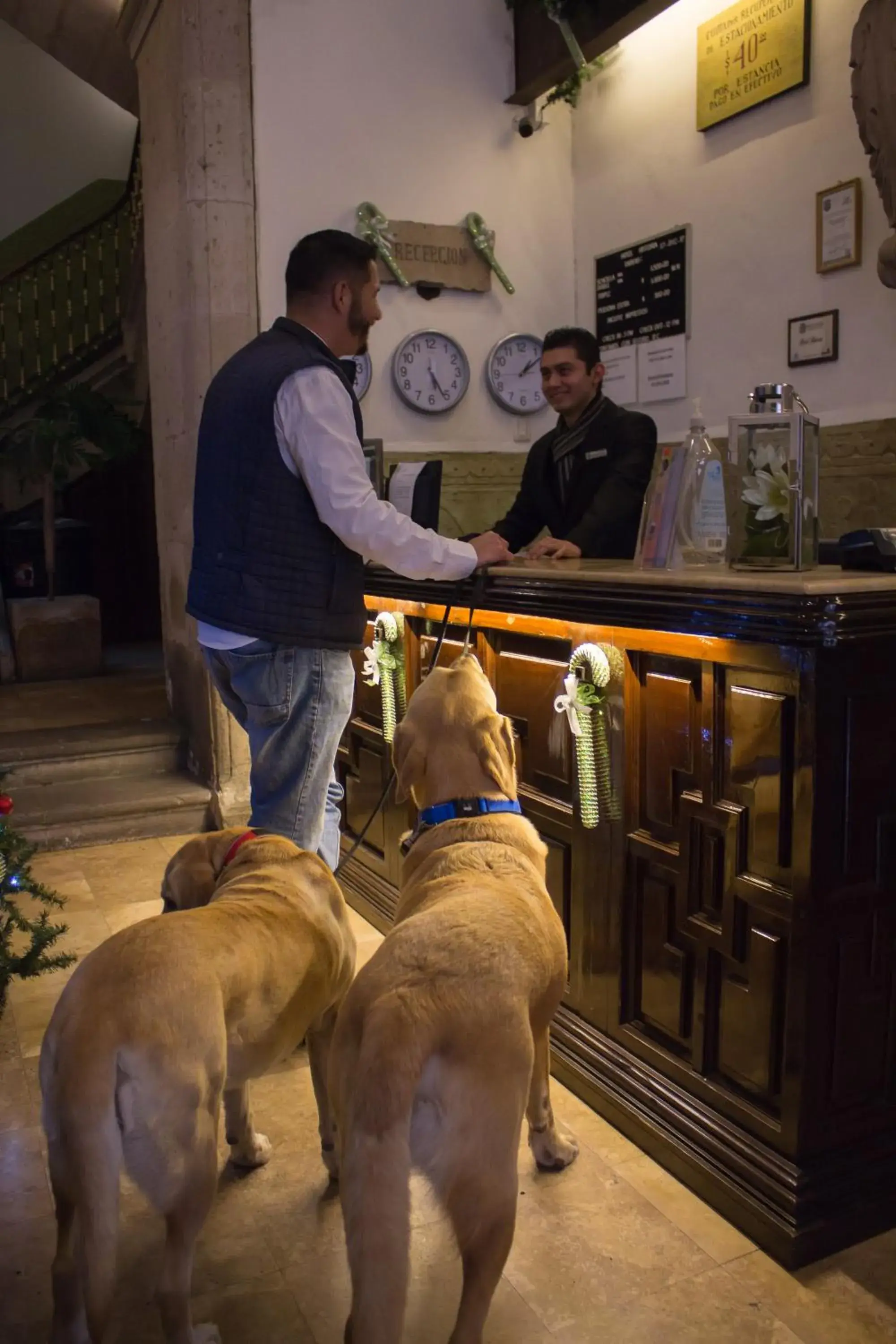 Hotel Historia Hotel Historia