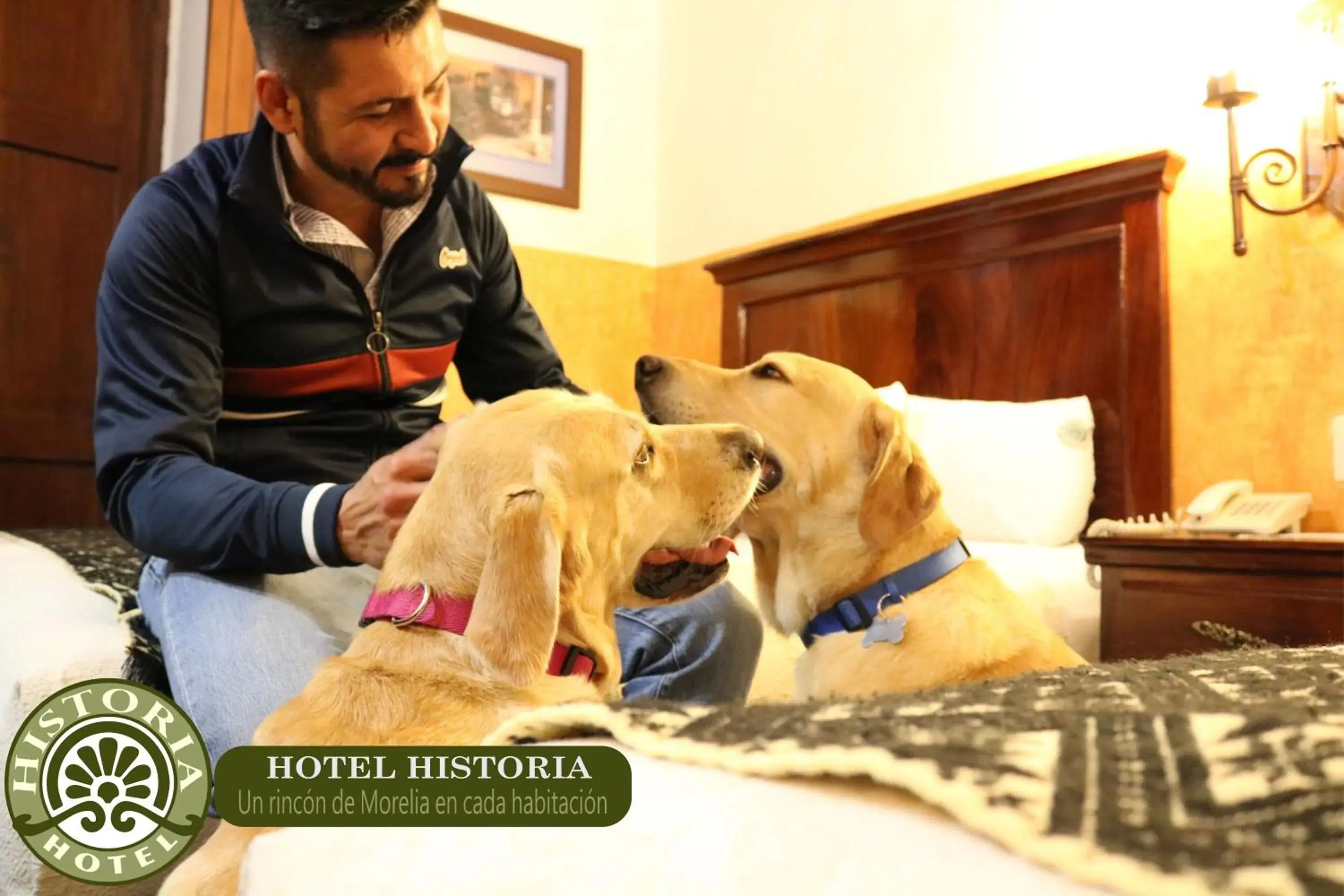 Hotel Historia Hotel Historia