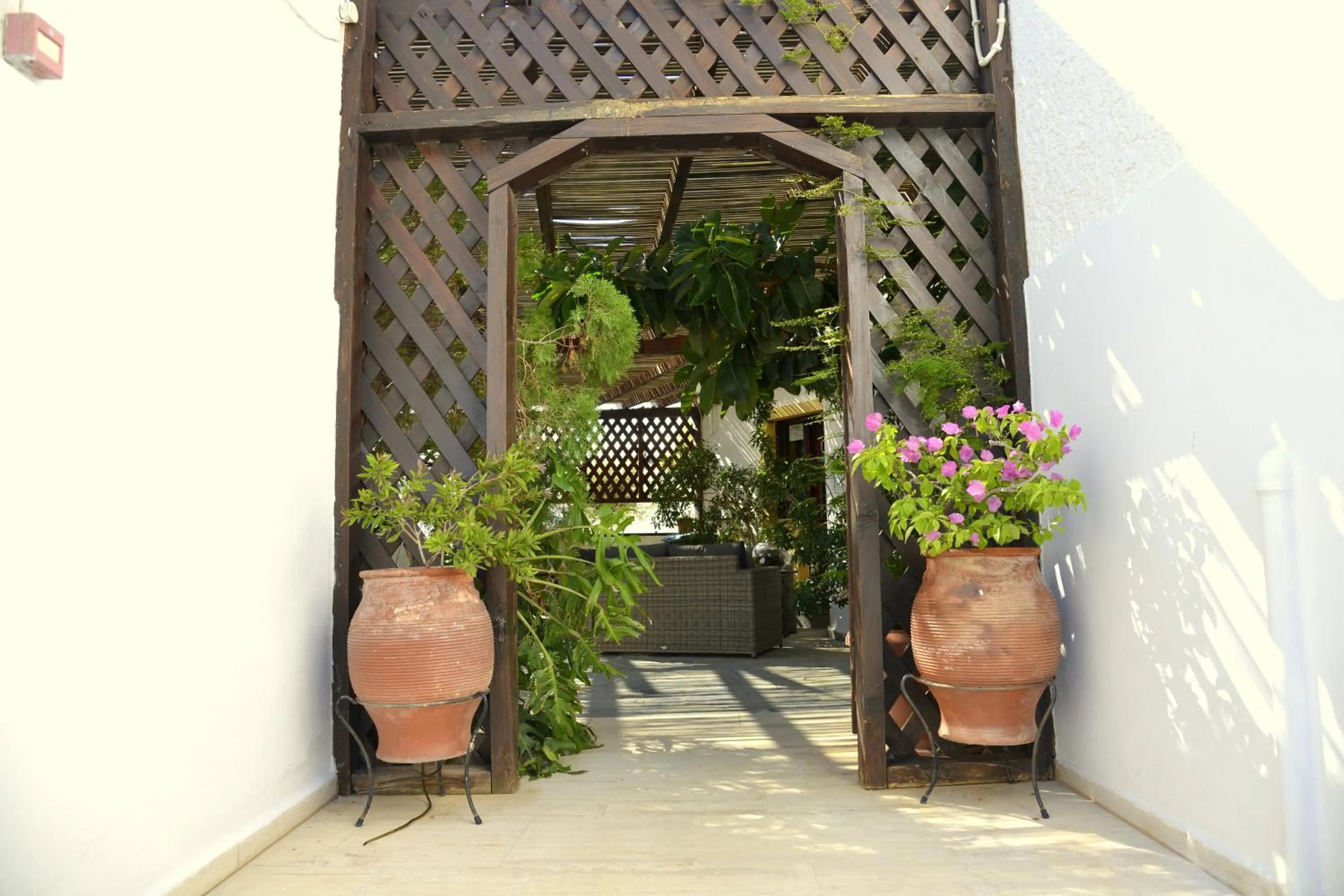 Facade/entrance in Filoxenia Villa