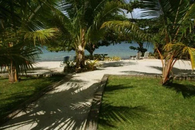 Garden in Mystic Sands