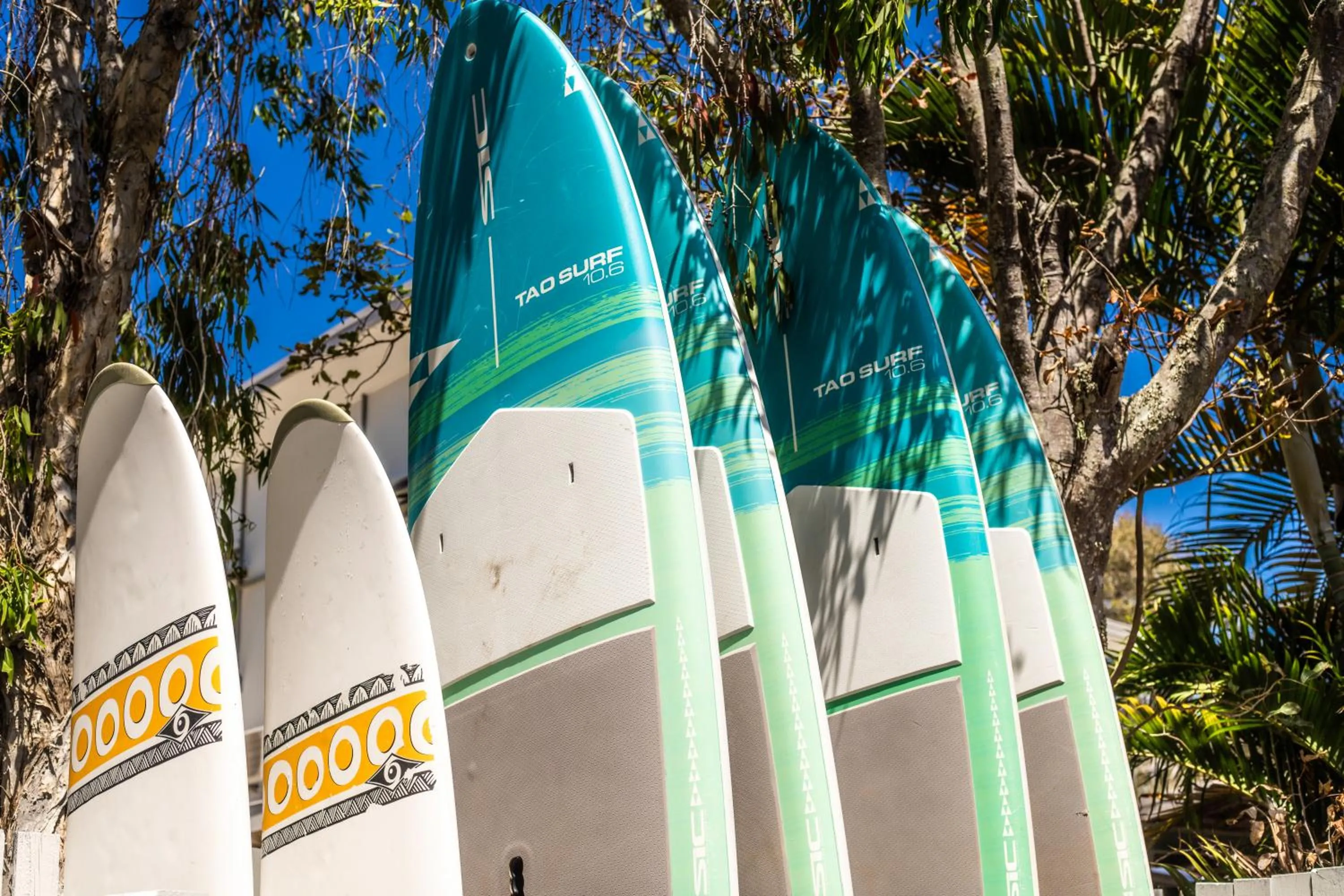 Beach in Wake Up! Byron Bay