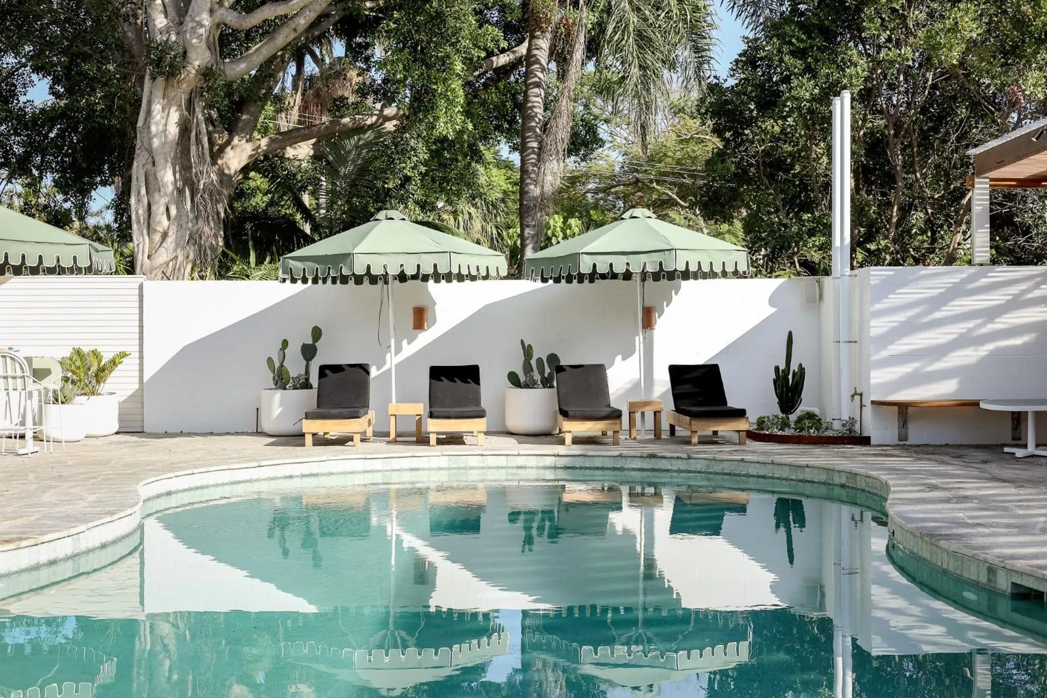 Swimming pool in Wake Up! Byron Bay