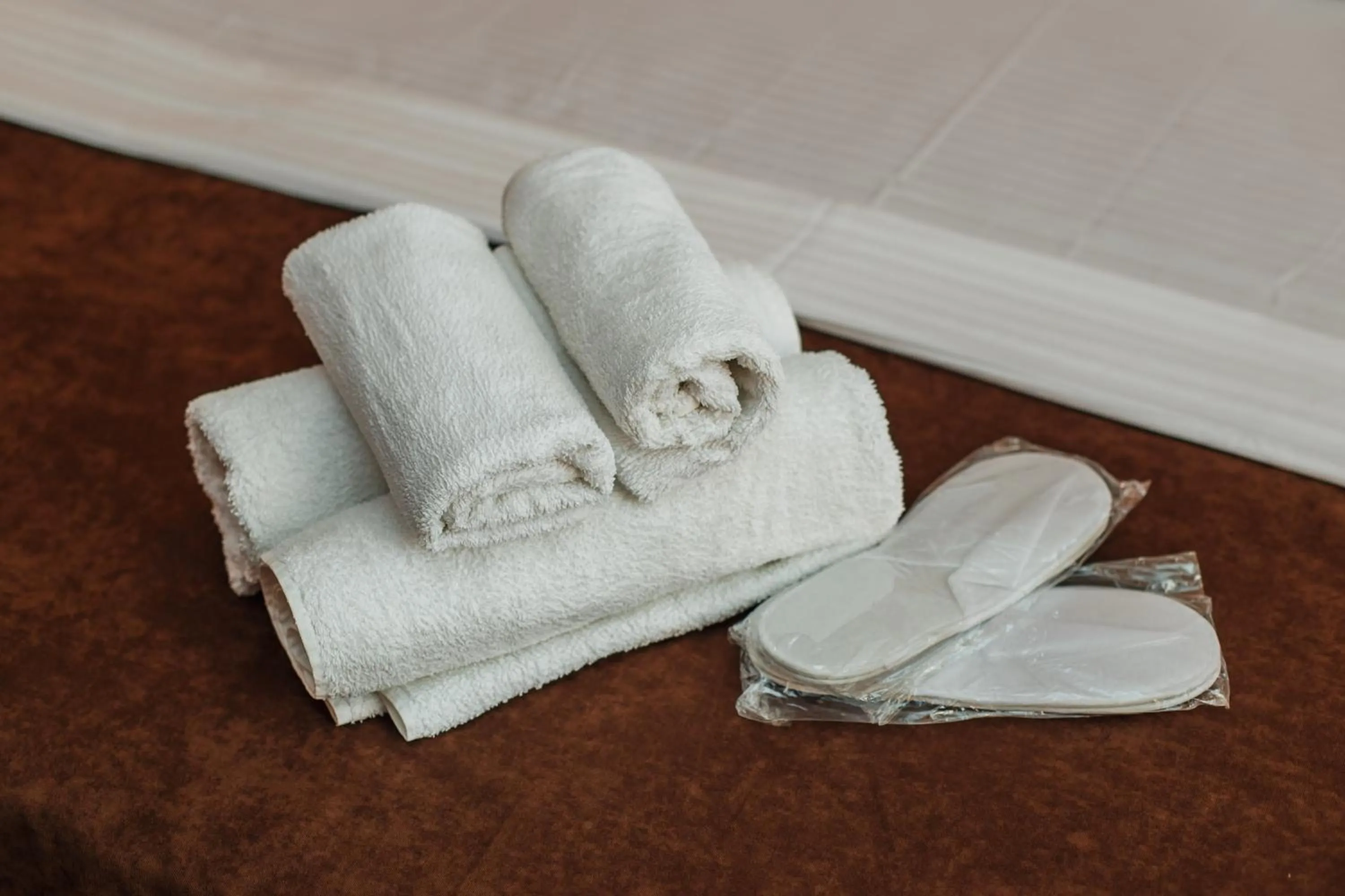 Sauna in Hotel Egrisi