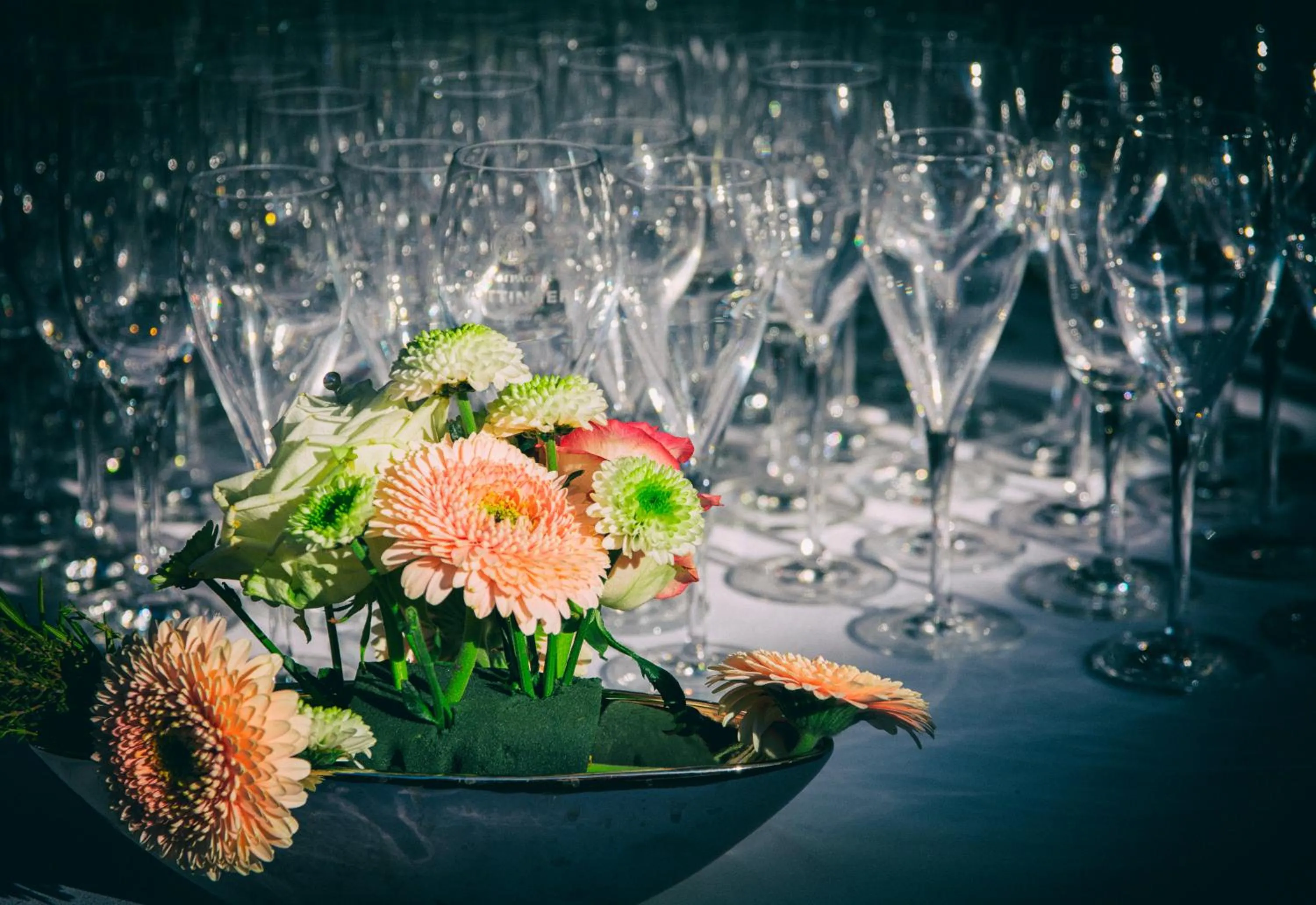 Food and drinks in Campus Garden Businesshotel