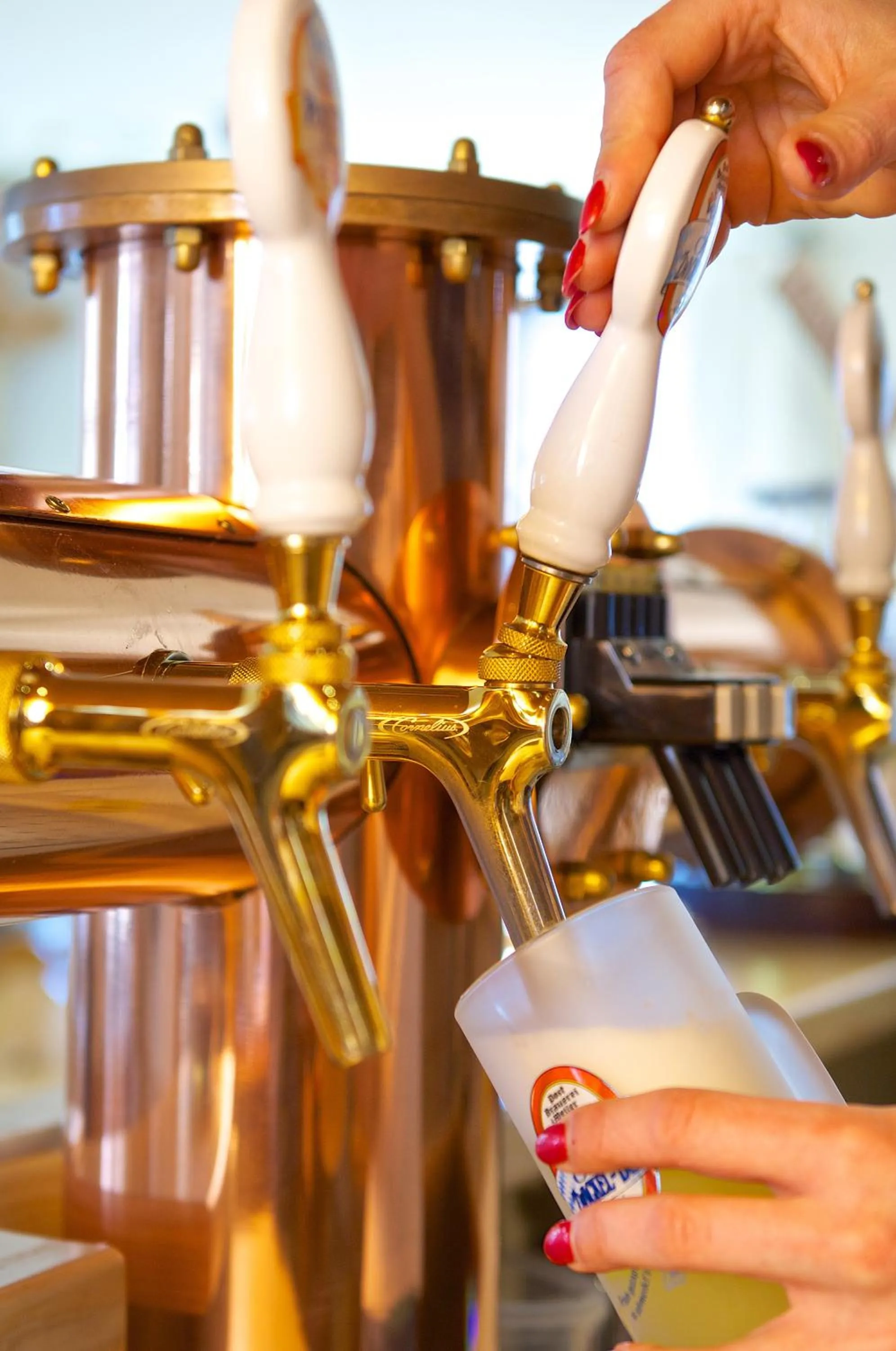 Restaurant/places to eat in Braustüble und Hotel zur Post