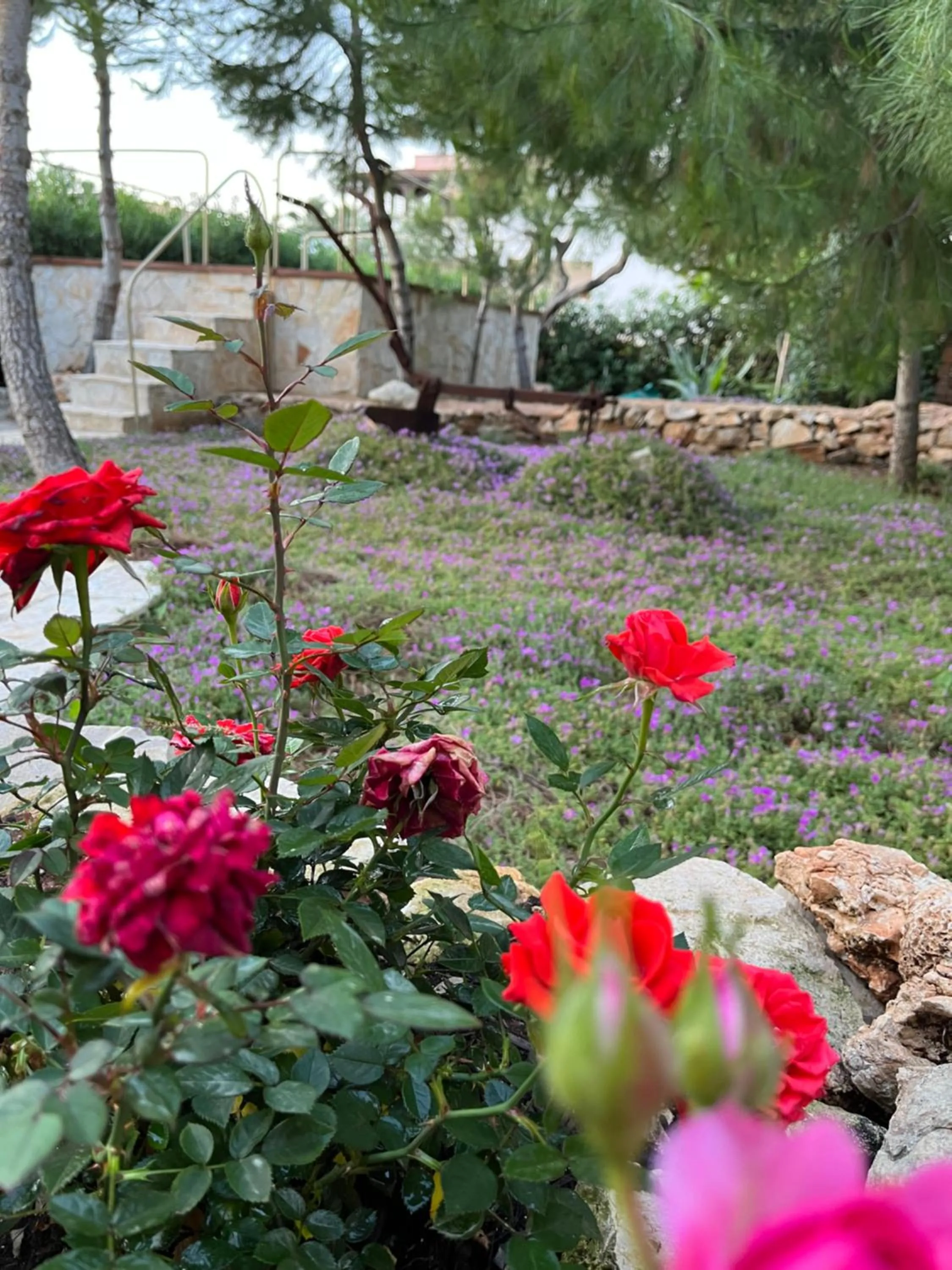 Summer in Krasì B&B