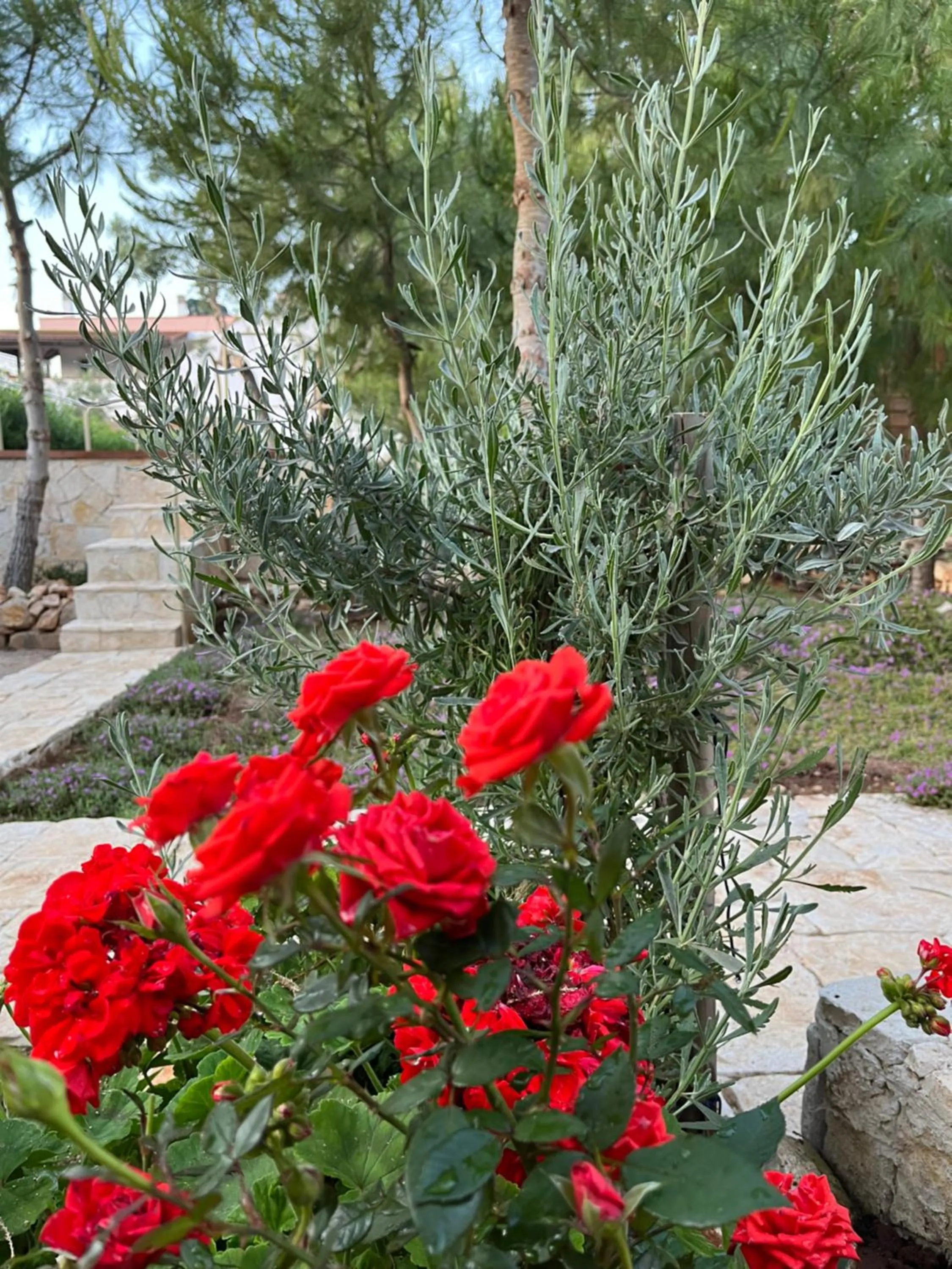Garden in Krasì B&B