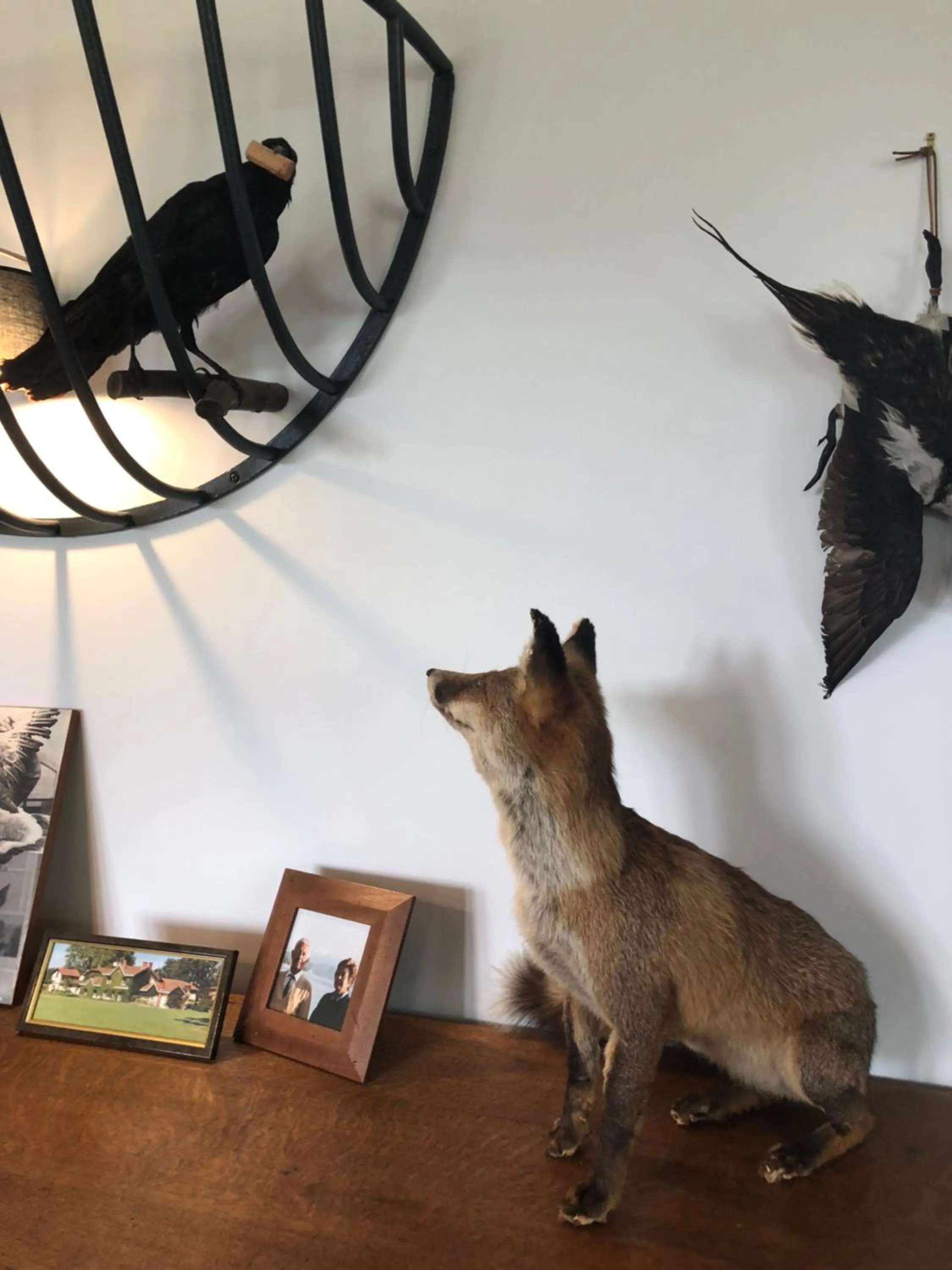 Decorative detail in ORANGERIE de CHATEL-Selection FIGARO & ELLE Magazine