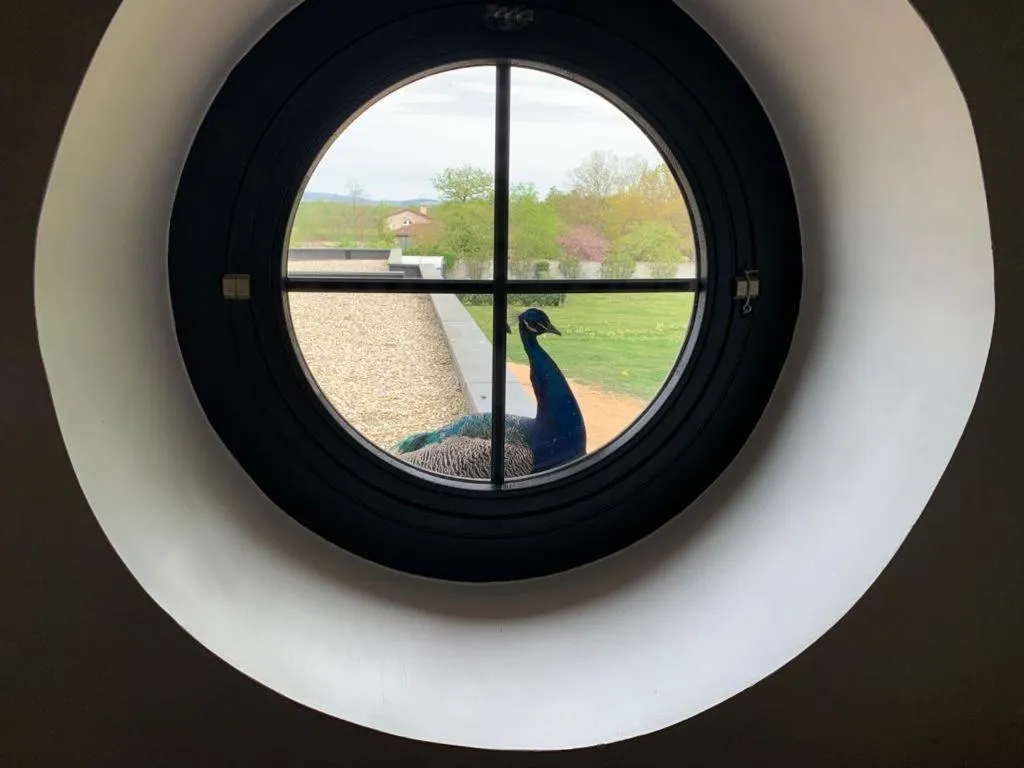 ORANGERIE de CHATEL-Selection FIGARO & ELLE Magazine