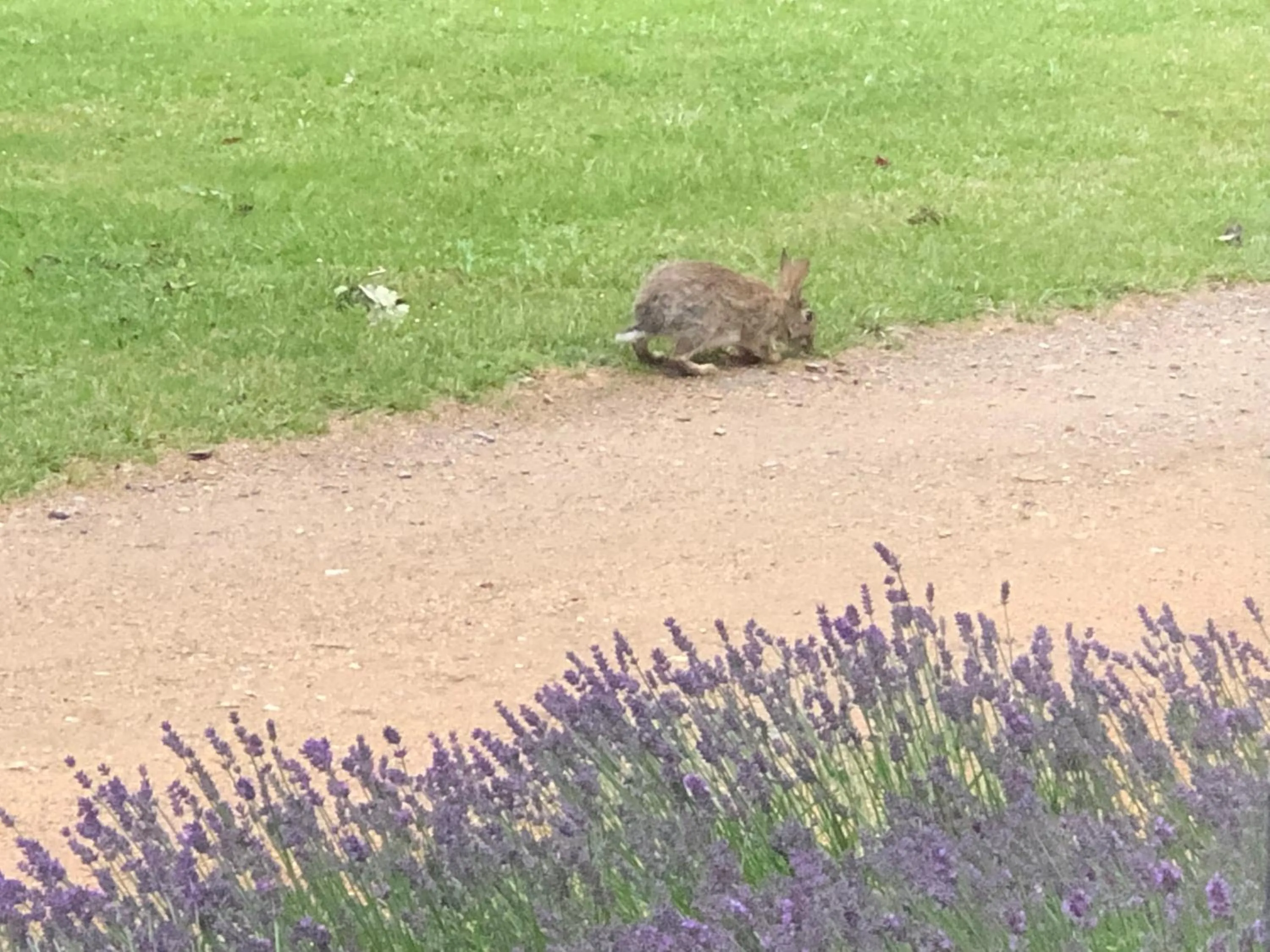 Natural landscape in ORANGERIE de CHATEL-Selection FIGARO & ELLE Magazine