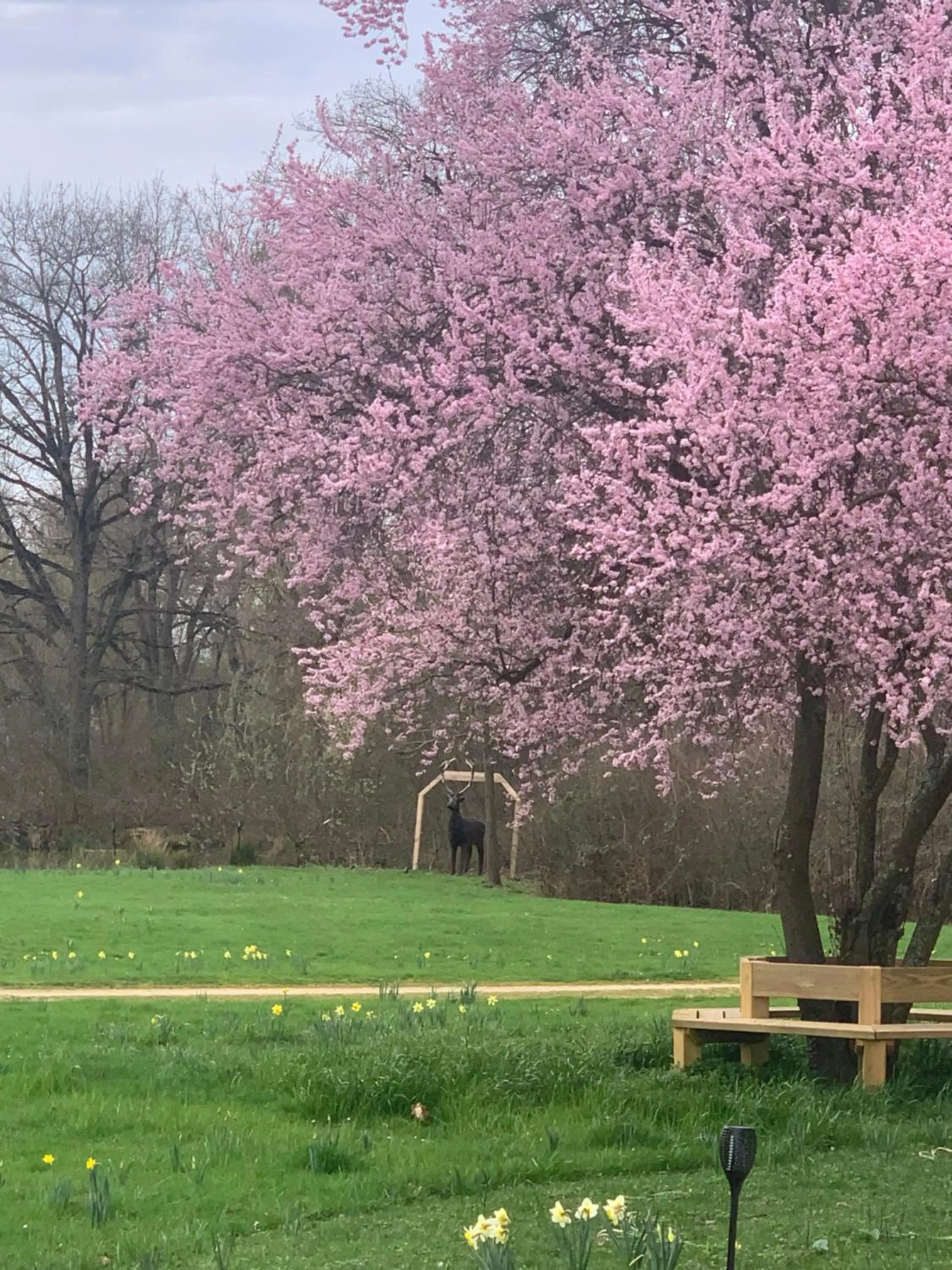 ORANGERIE de CHATEL-Selection FIGARO & ELLE Magazine