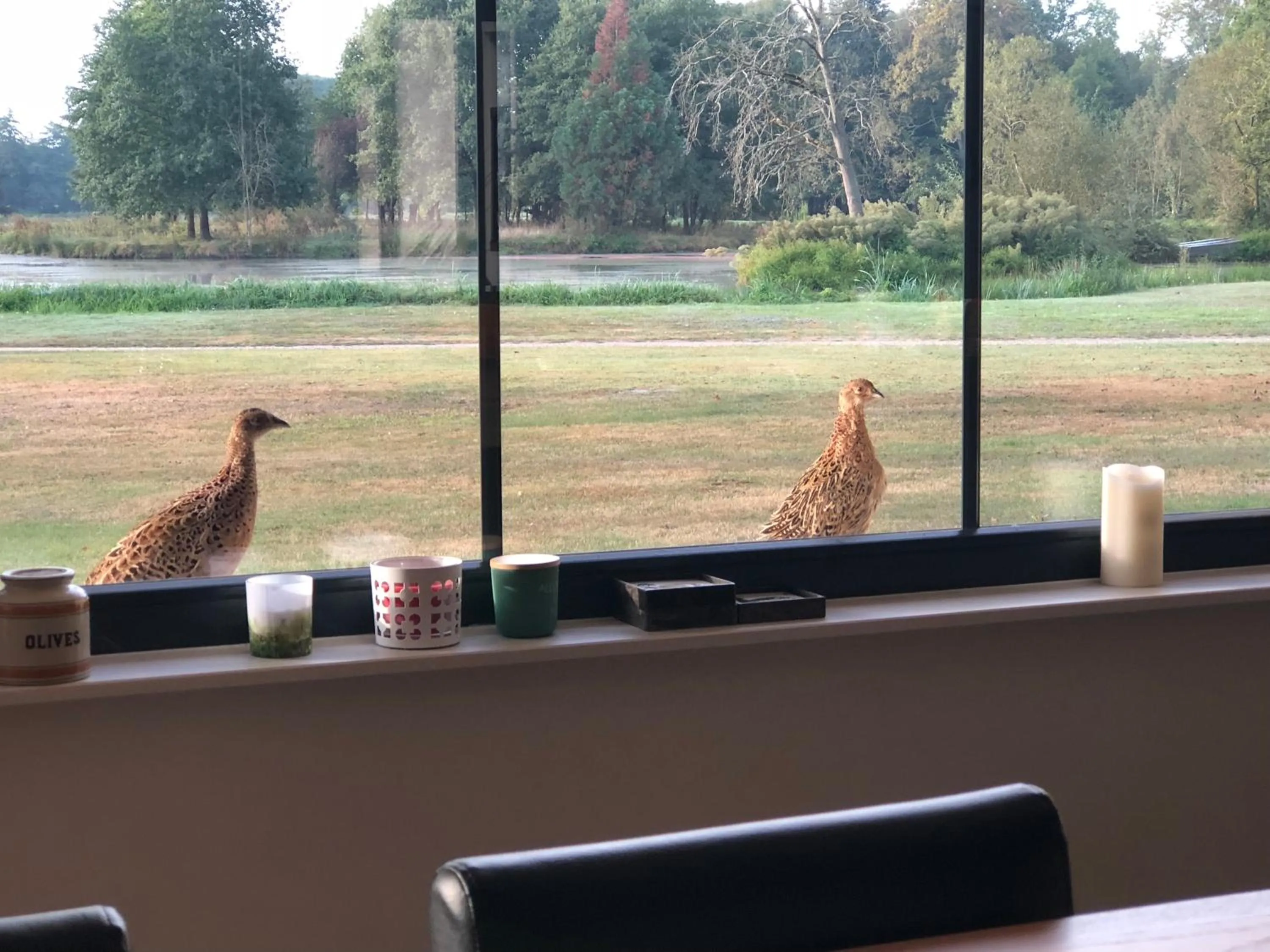 Animals in ORANGERIE de CHATEL-Selection FIGARO & ELLE Magazine