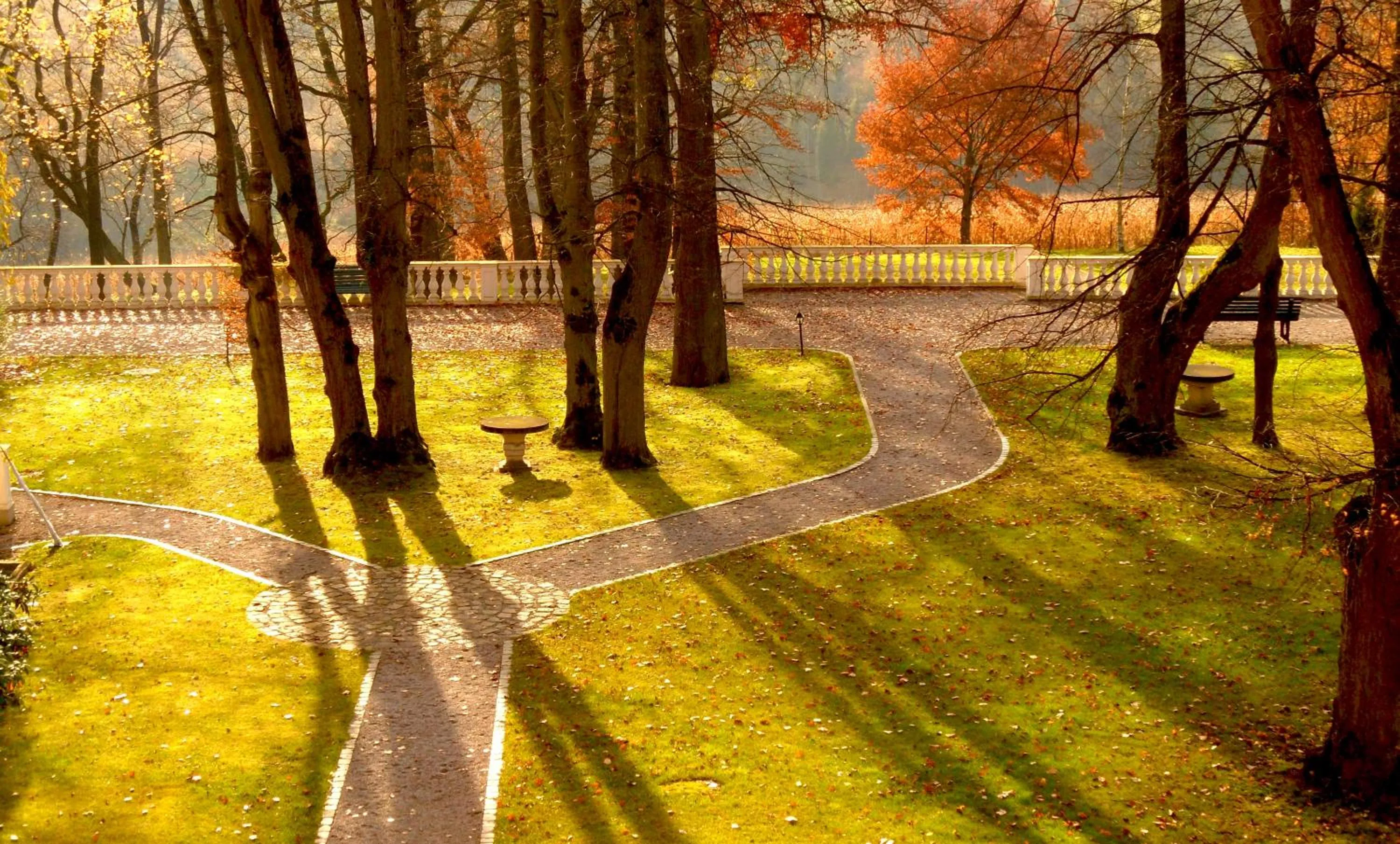Autumn in Dwór Sieraków