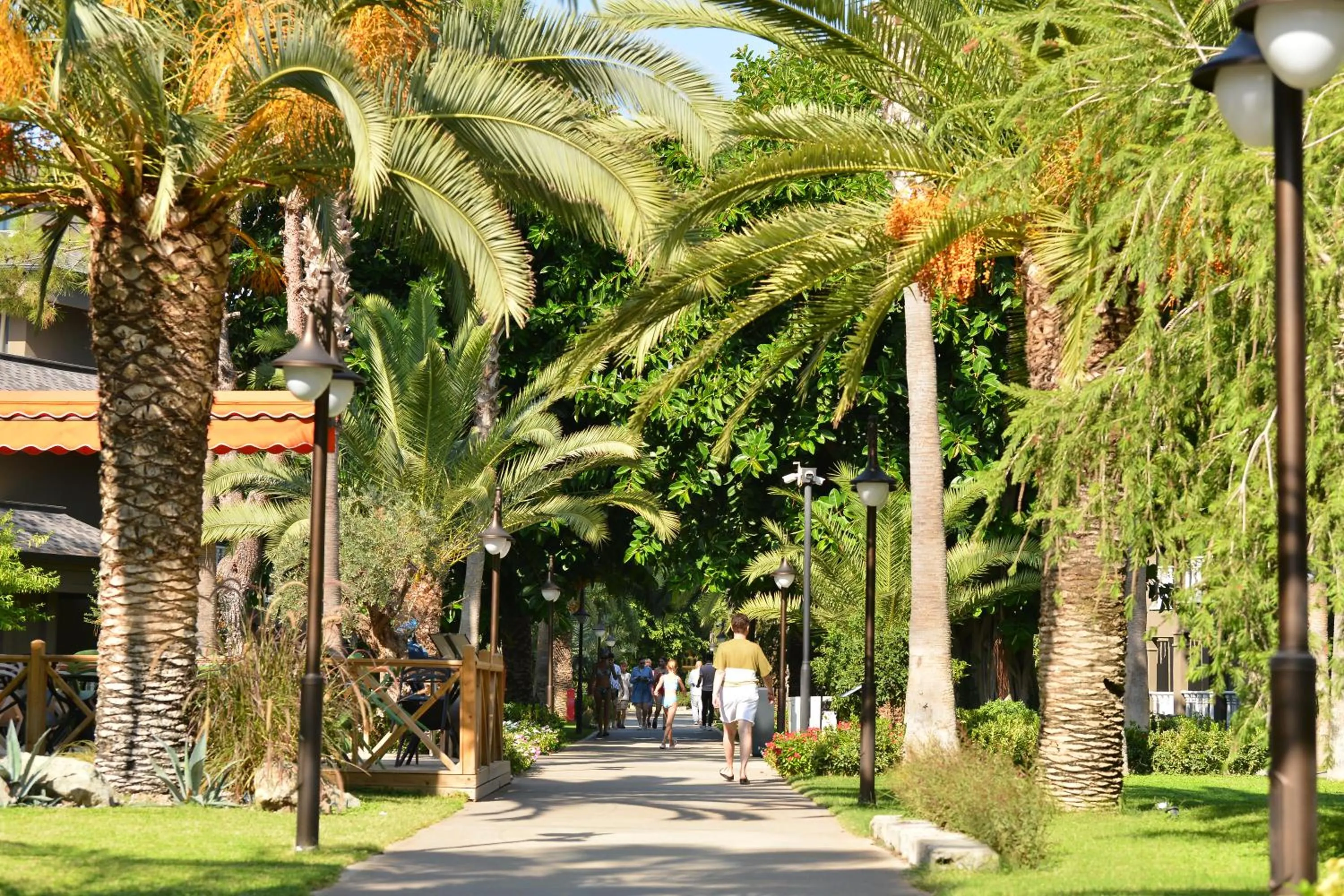 Garden in Sailor's Beach Club