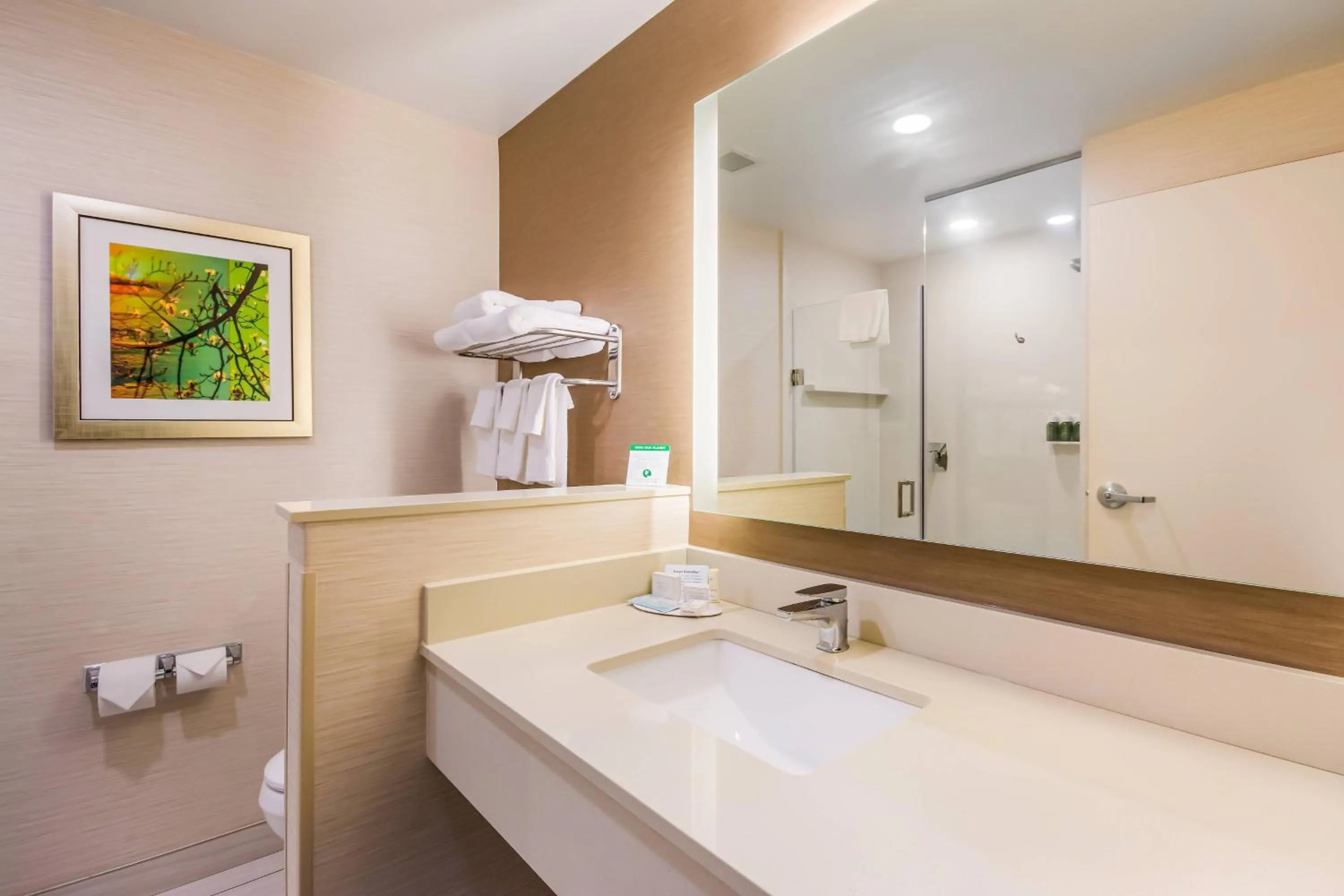Bathroom in Fairfield Inn & Suites by Marriott Chickasha