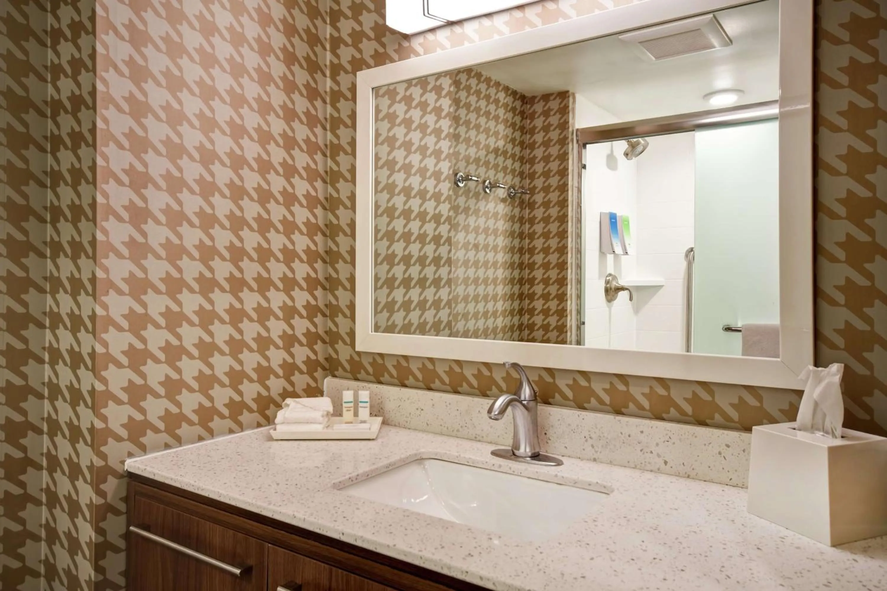 Bathroom in Home2 Suites by Hilton Gilbert