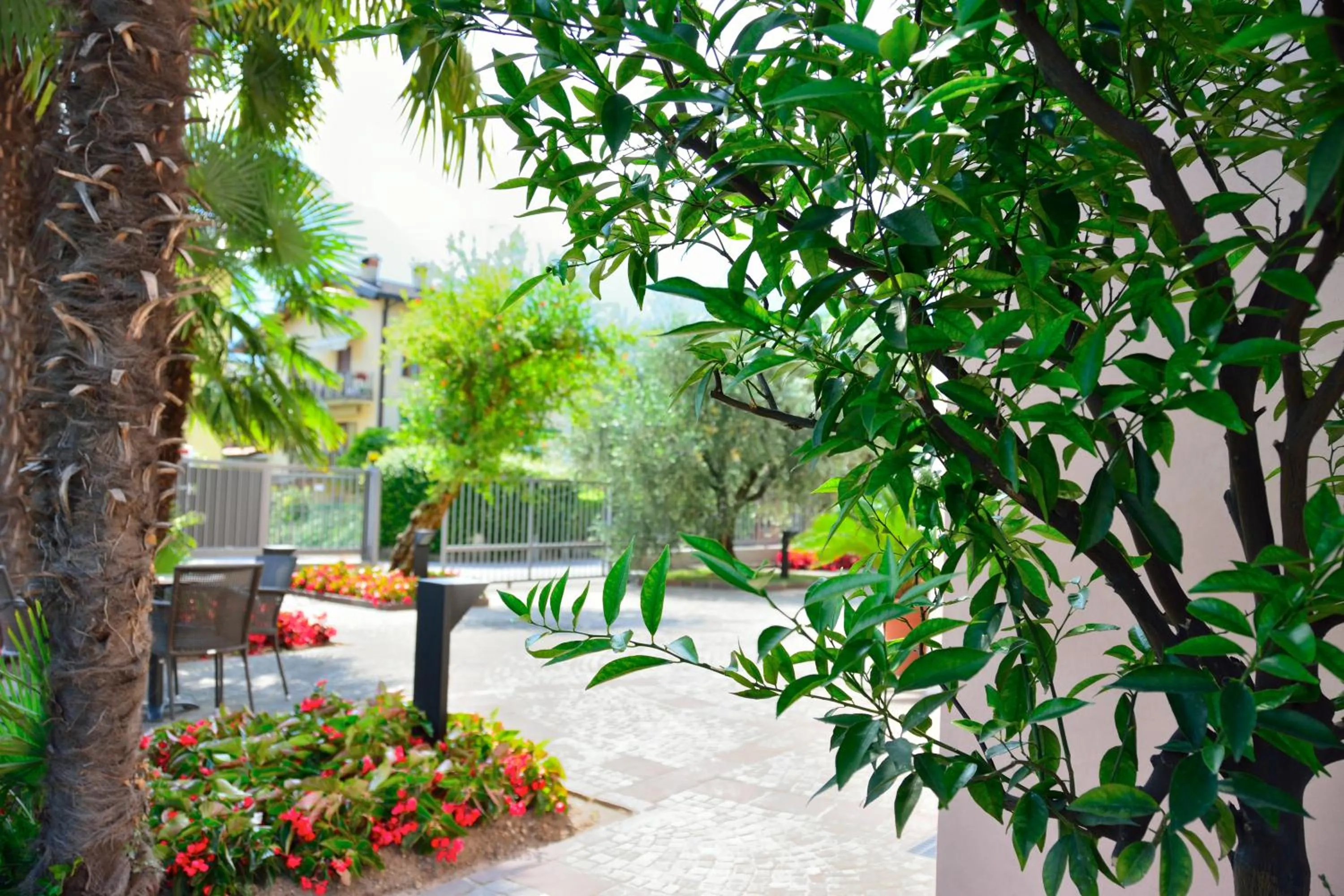 Garden in Hotel San Giorgio