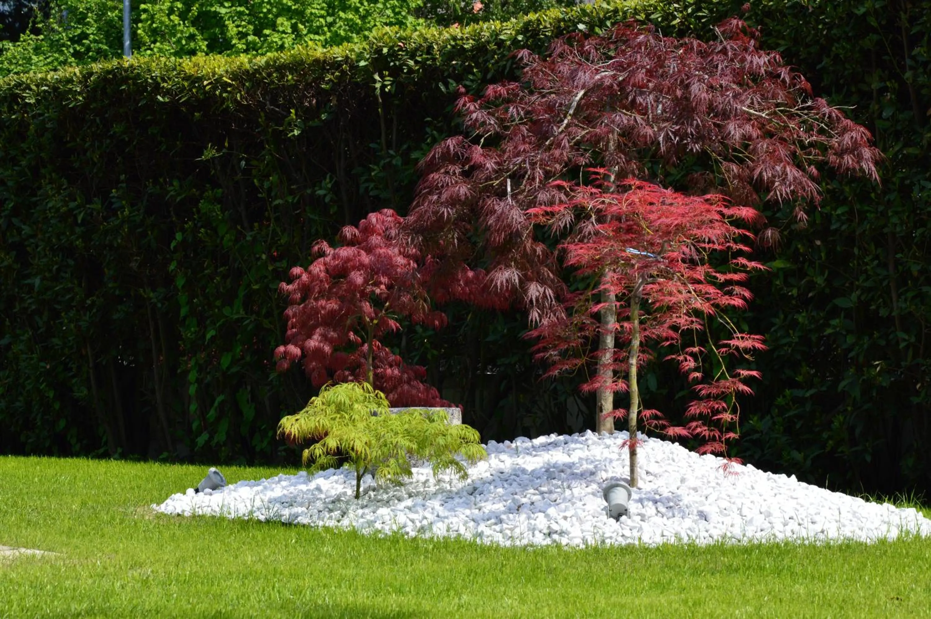 Garden in Hotel San Giorgio