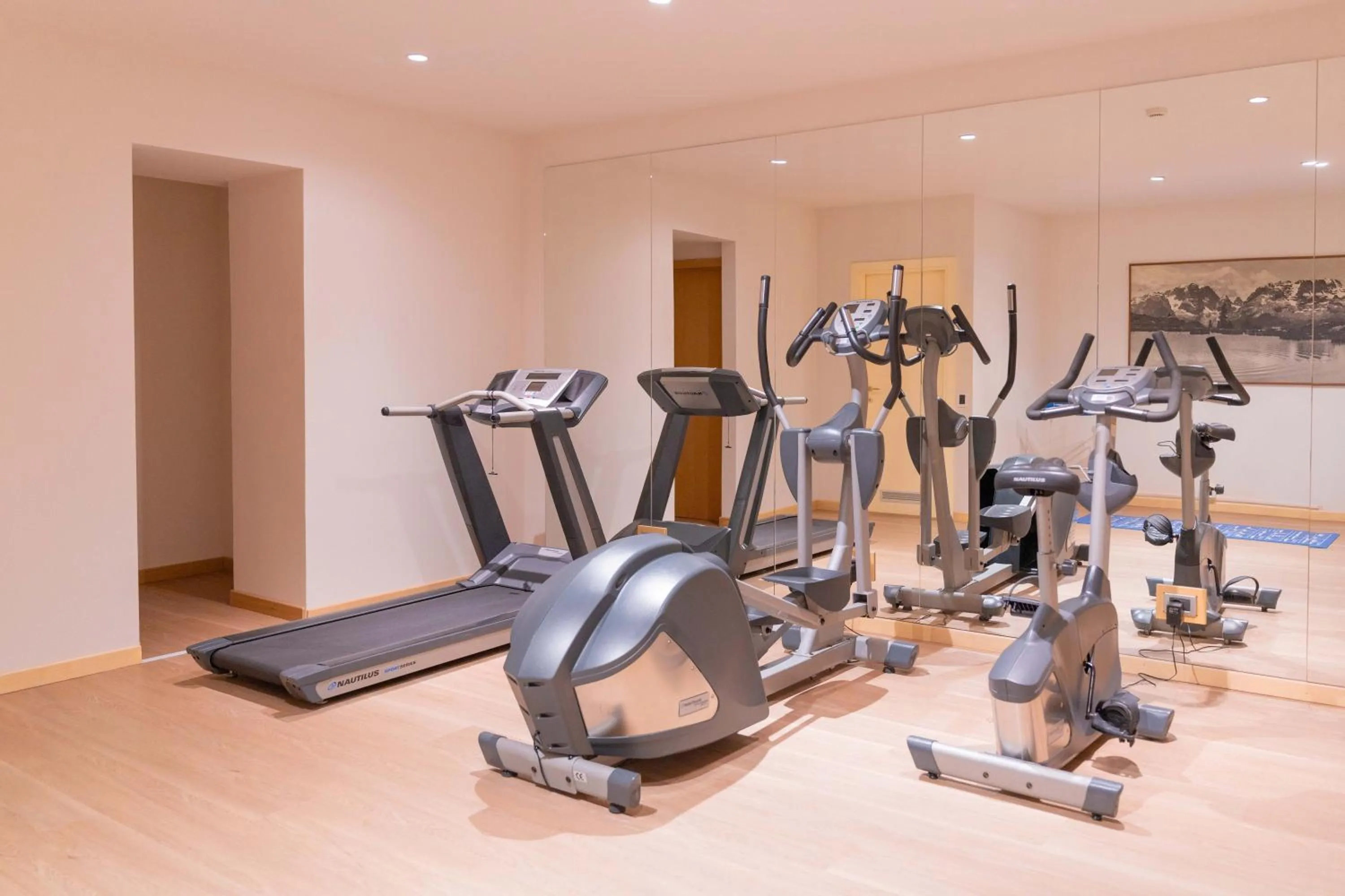 Fitness centre/facilities in Hotel Ideal