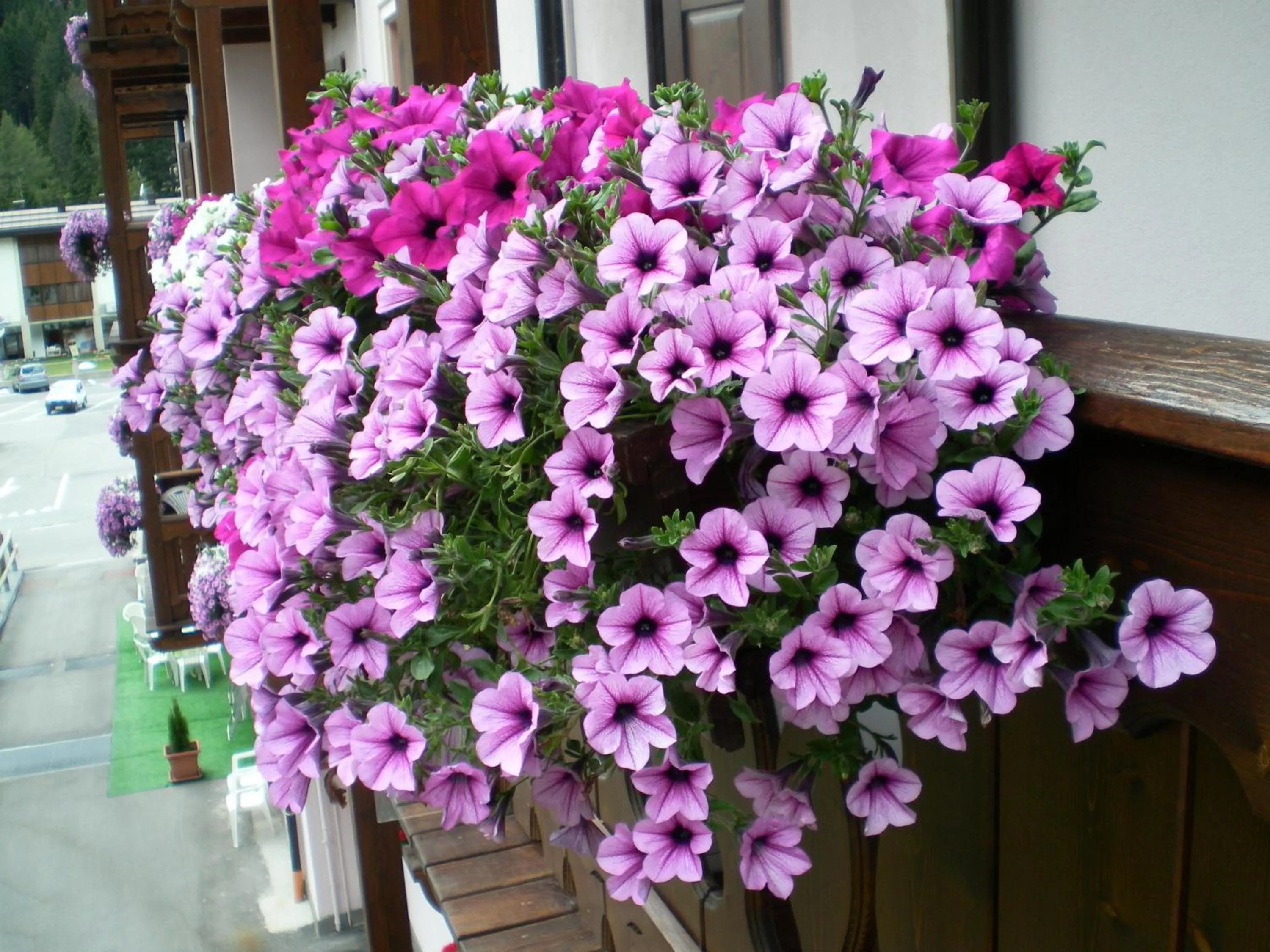Balcony/Terrace in Hotel Villa Emma